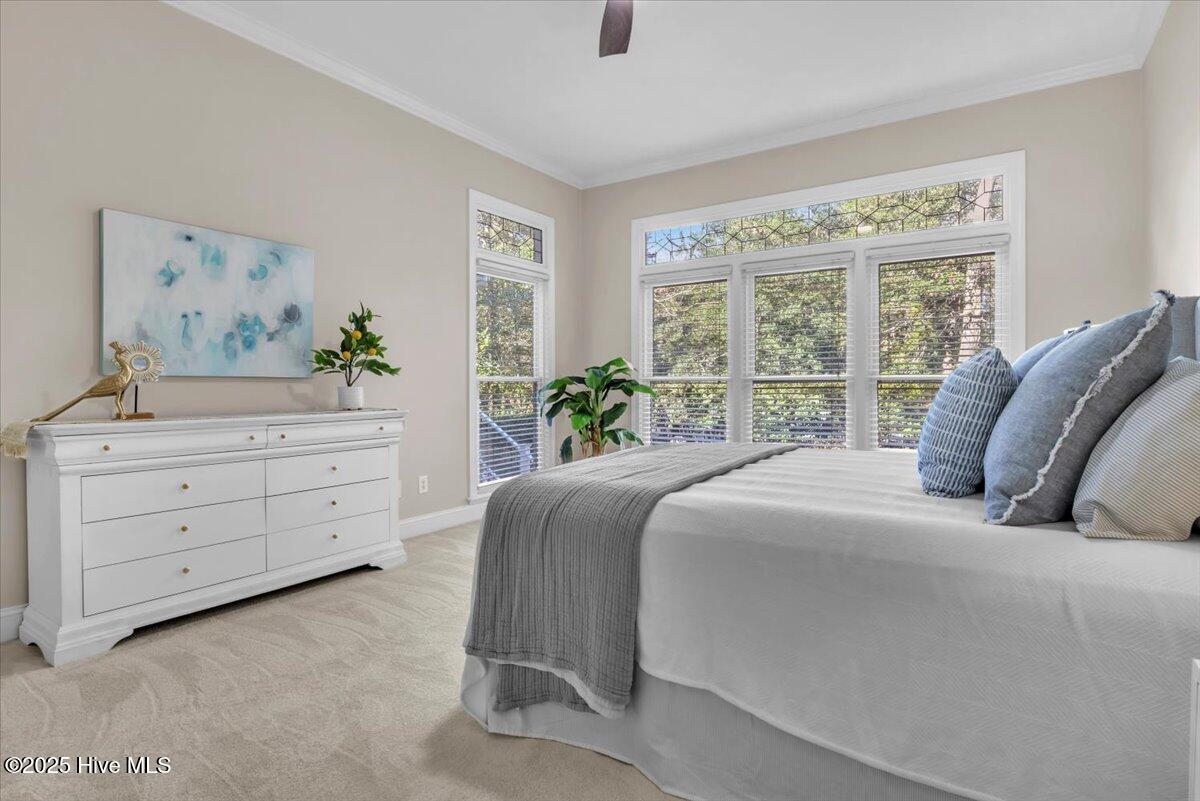 100545058 | Photo 27