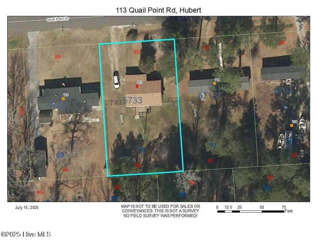 100519337 | Photo 21