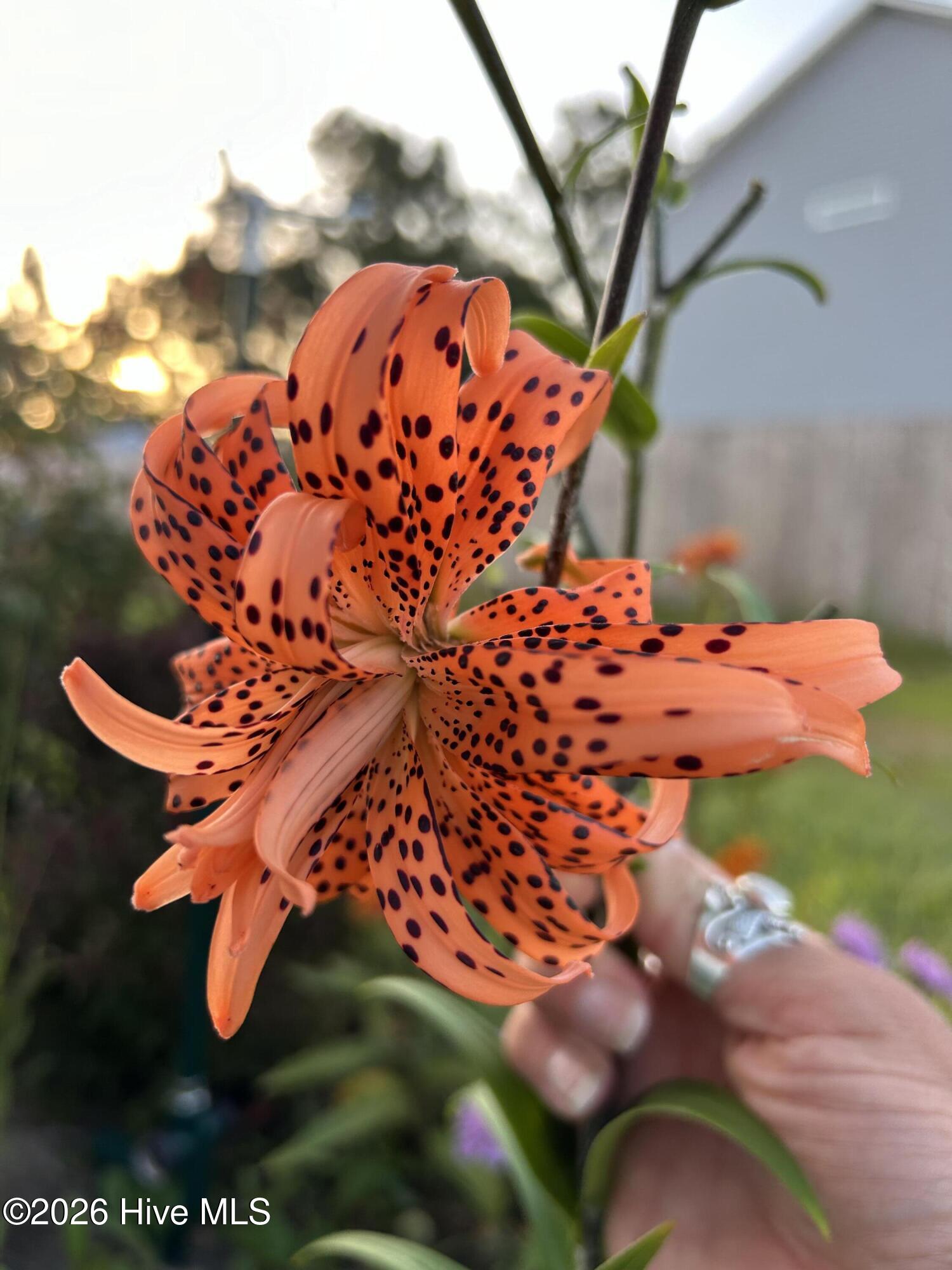 100549687 | Photo 68