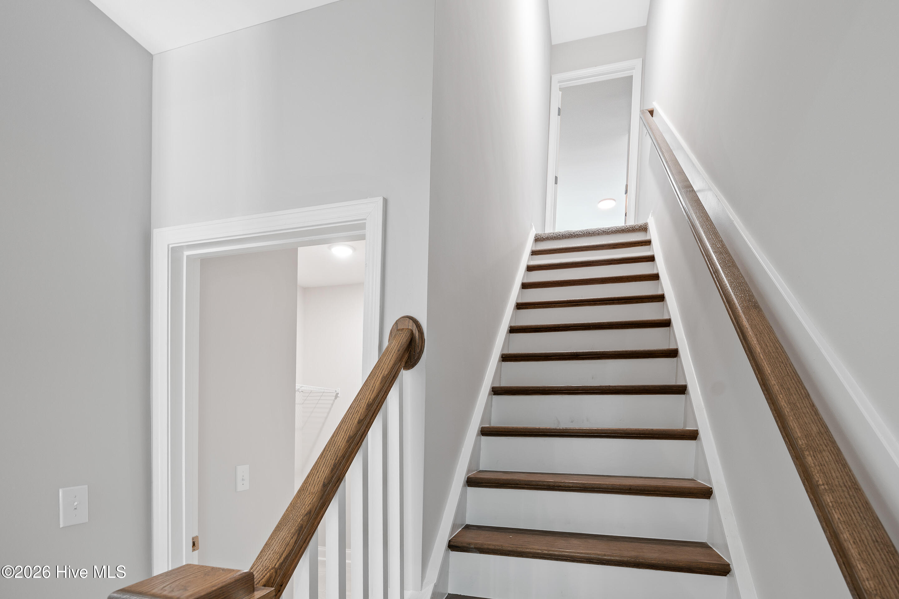 100552787 | Photo 21