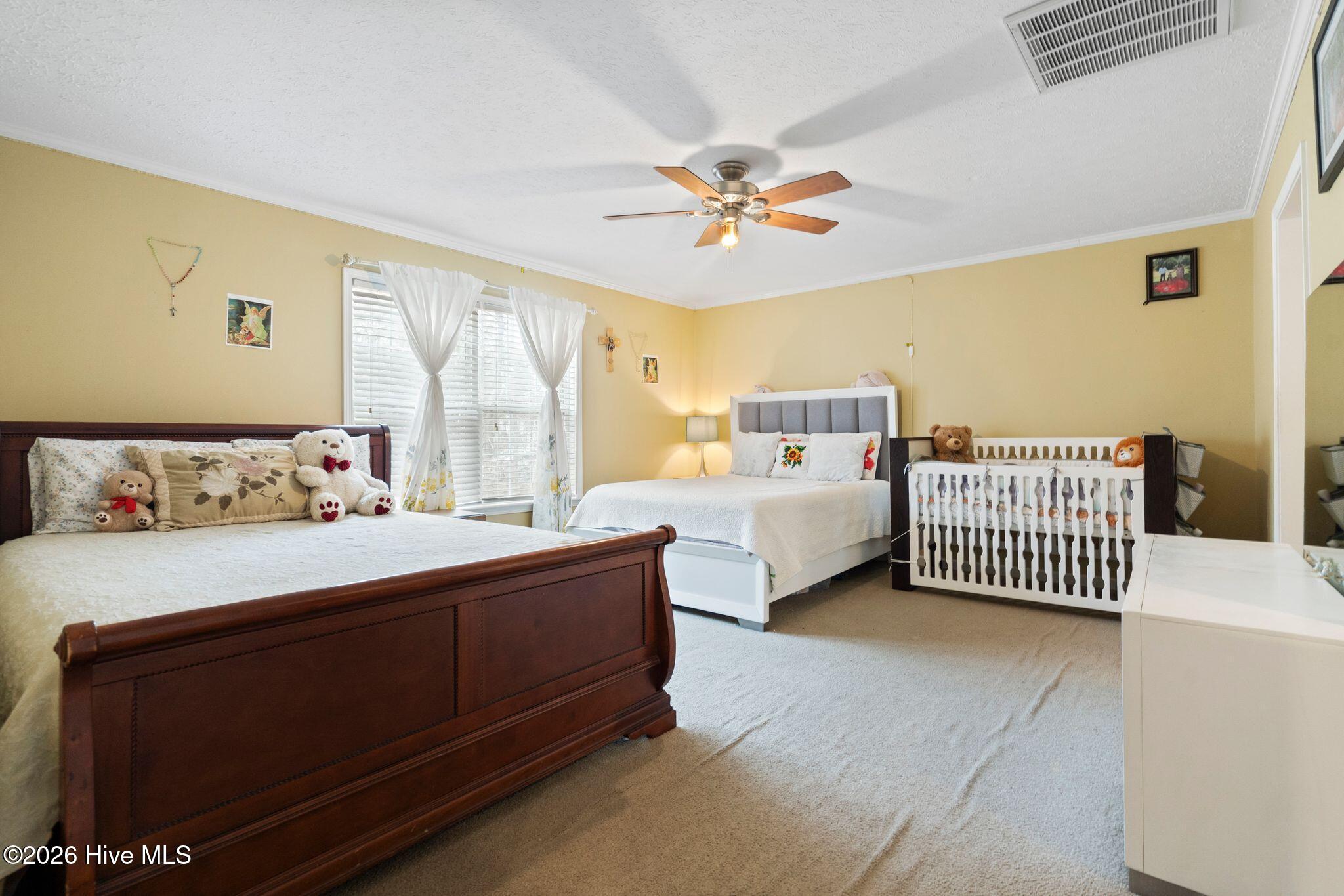 100558385 | Photo 24