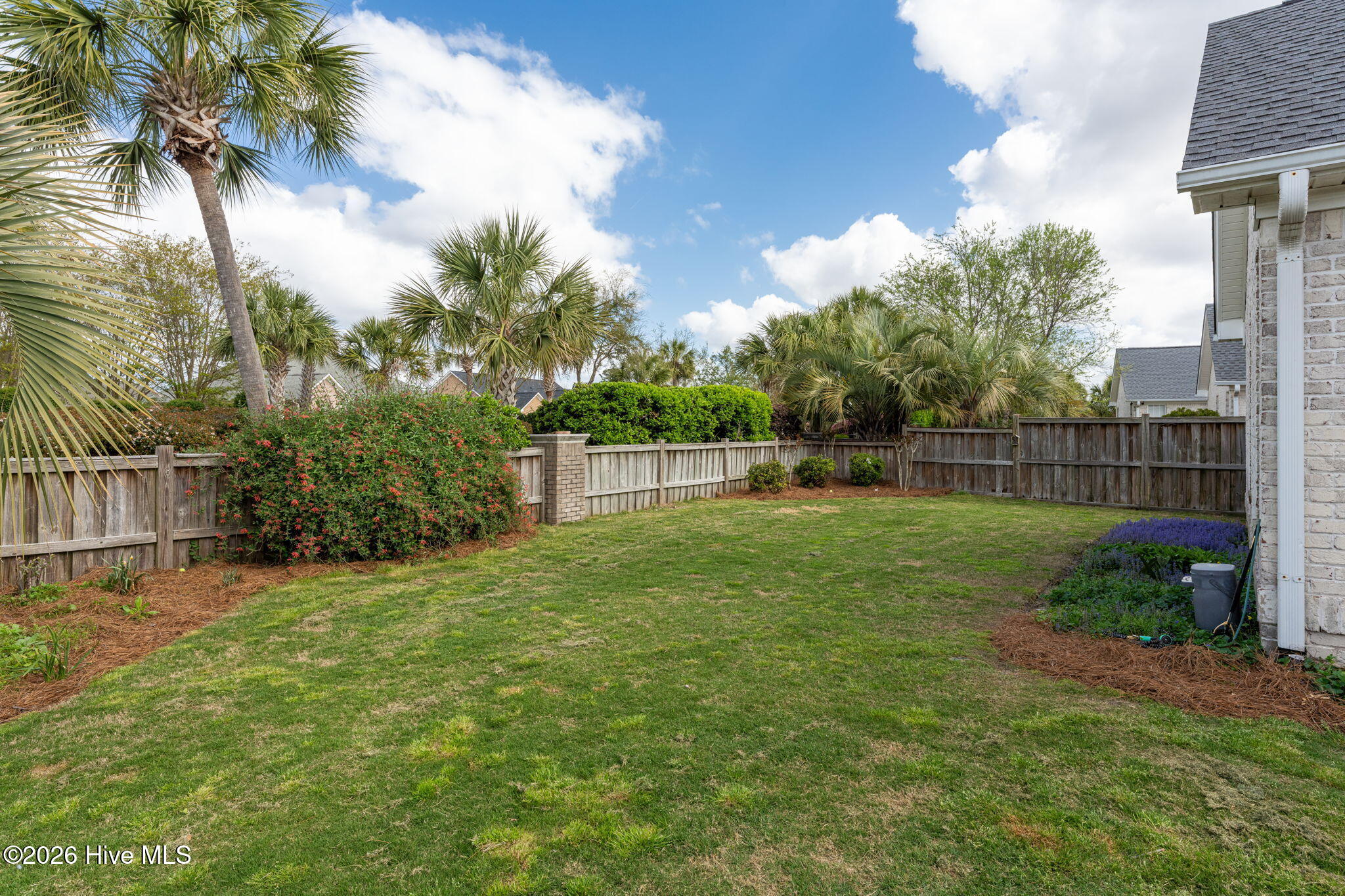 100564591 | Photo 30