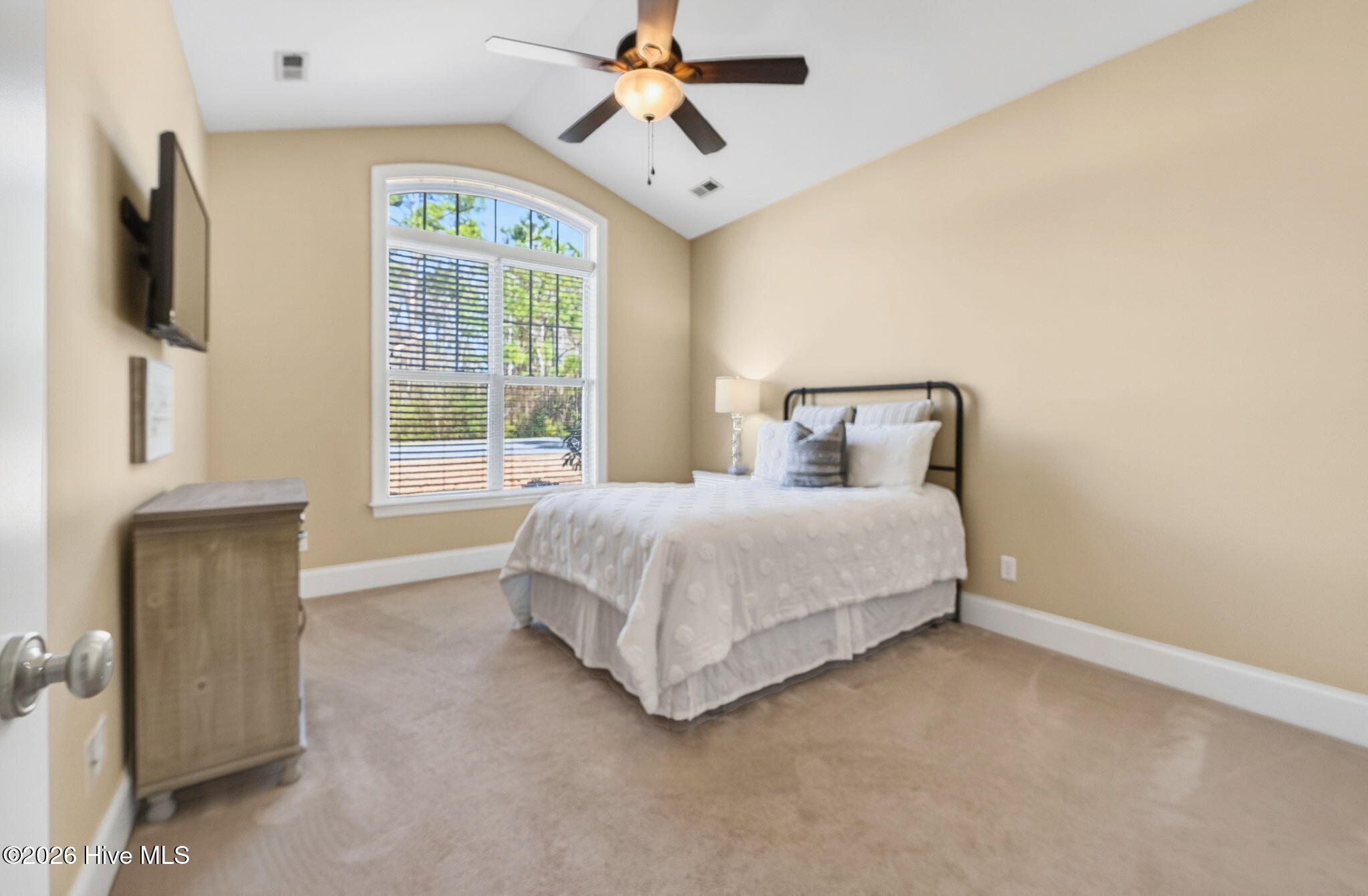 100558645 | Photo 34