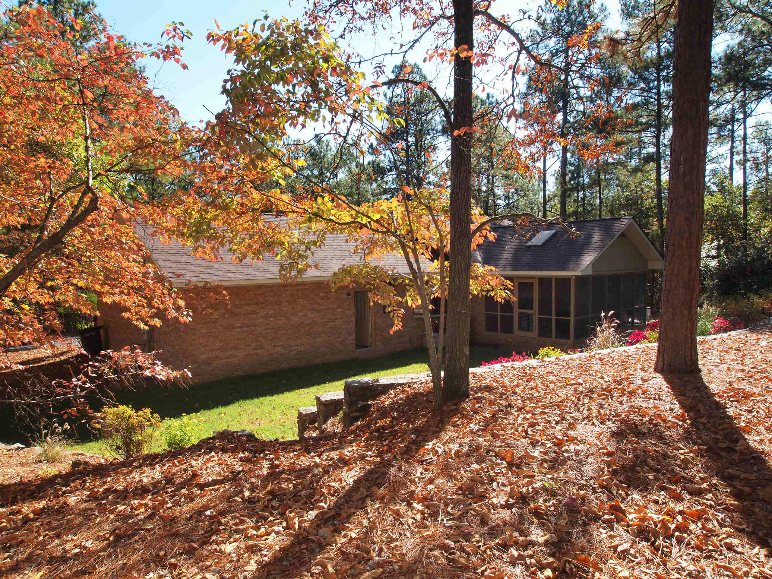 Back of the house