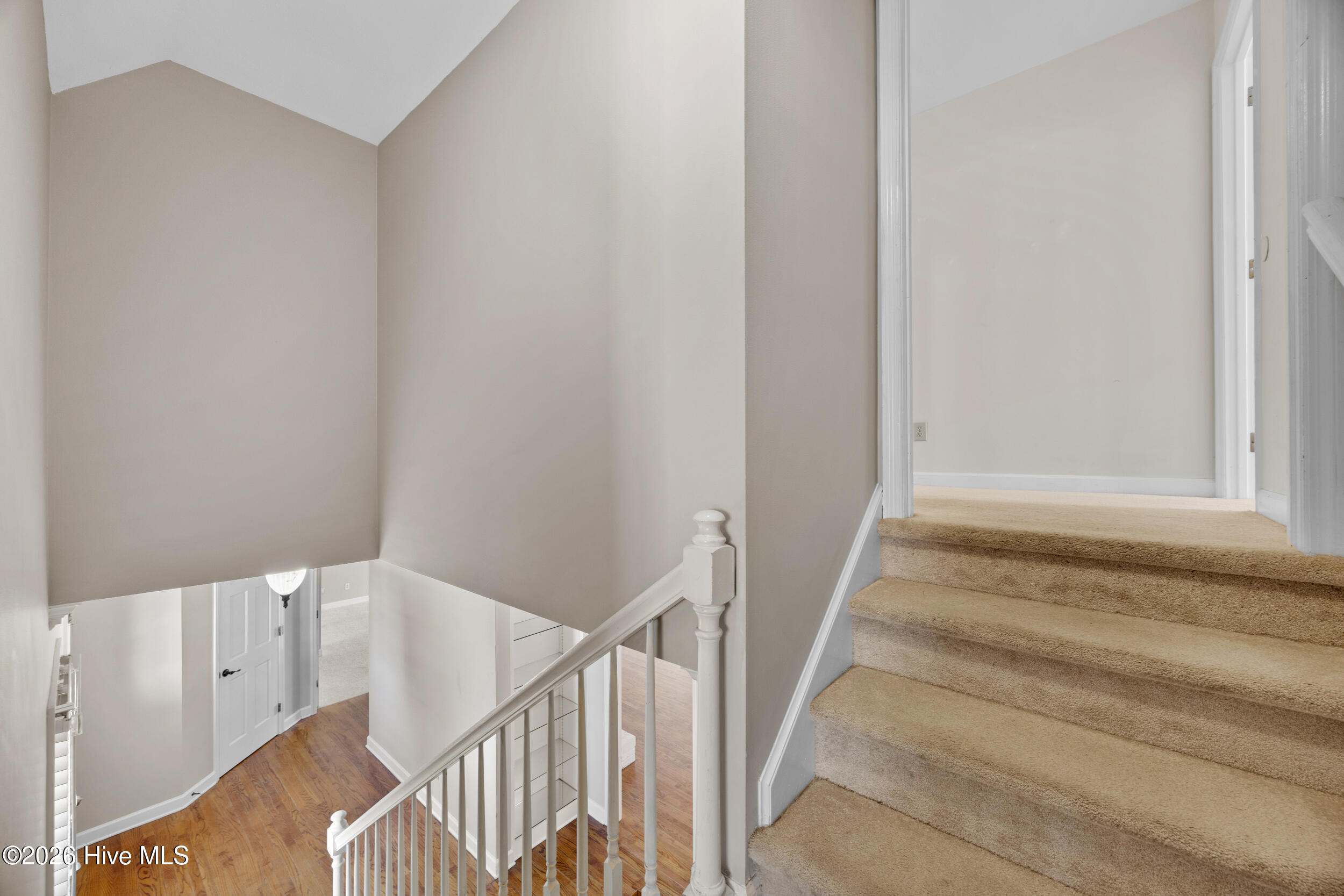 100558264 | Photo 35