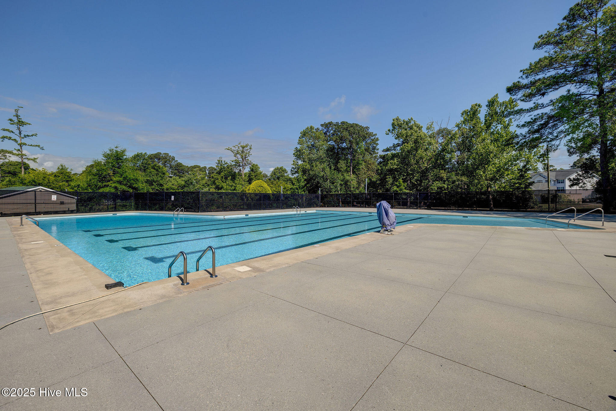 100538895 | Photo 50