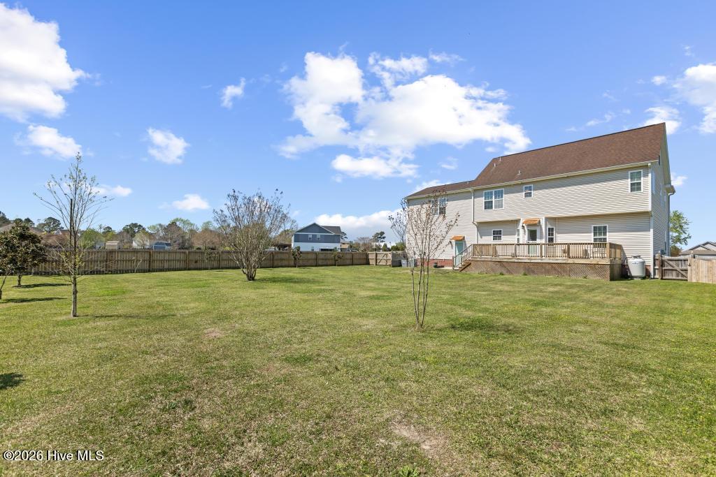 100564951 | Photo 50