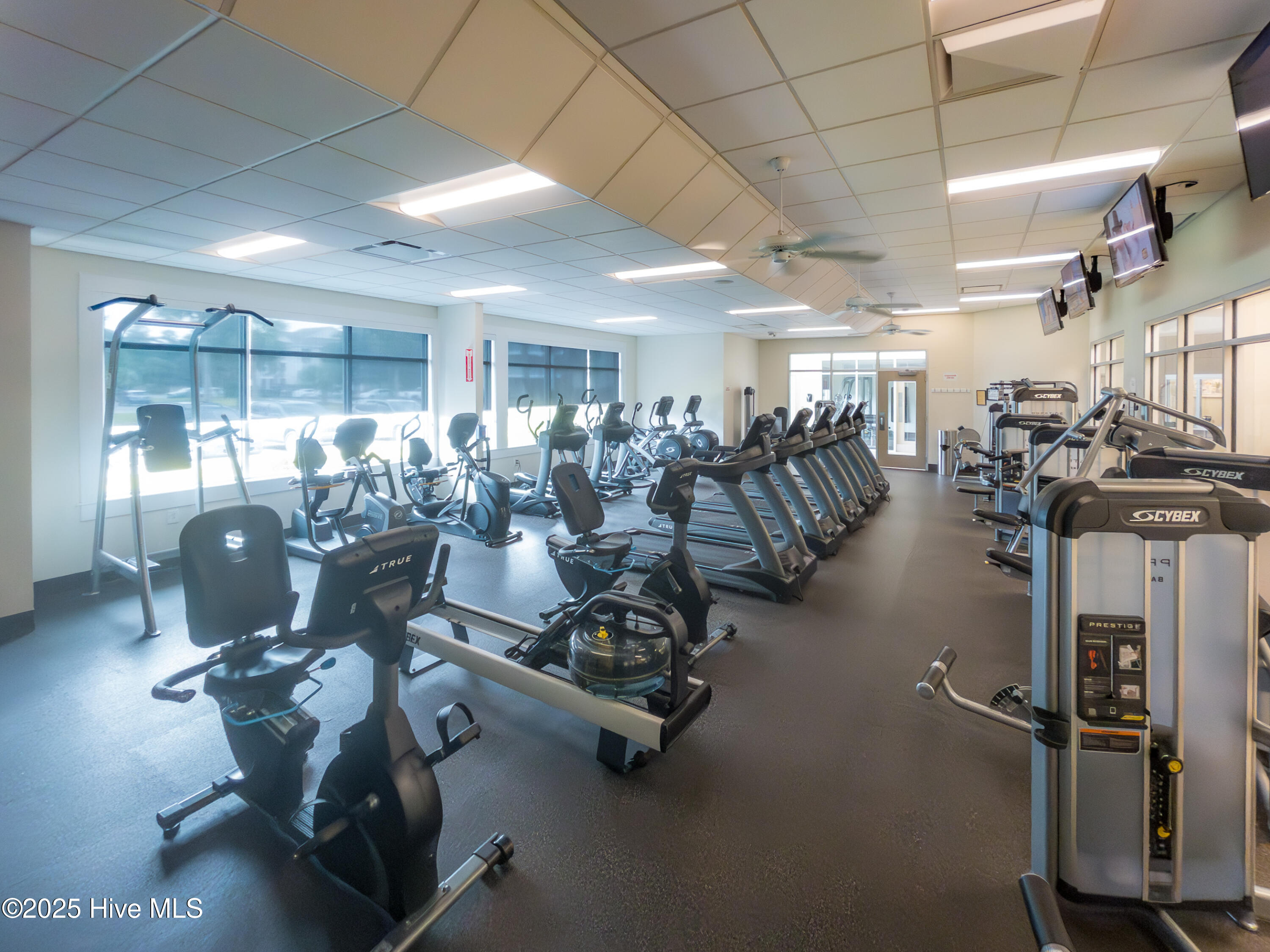 100547158 | Photo 53