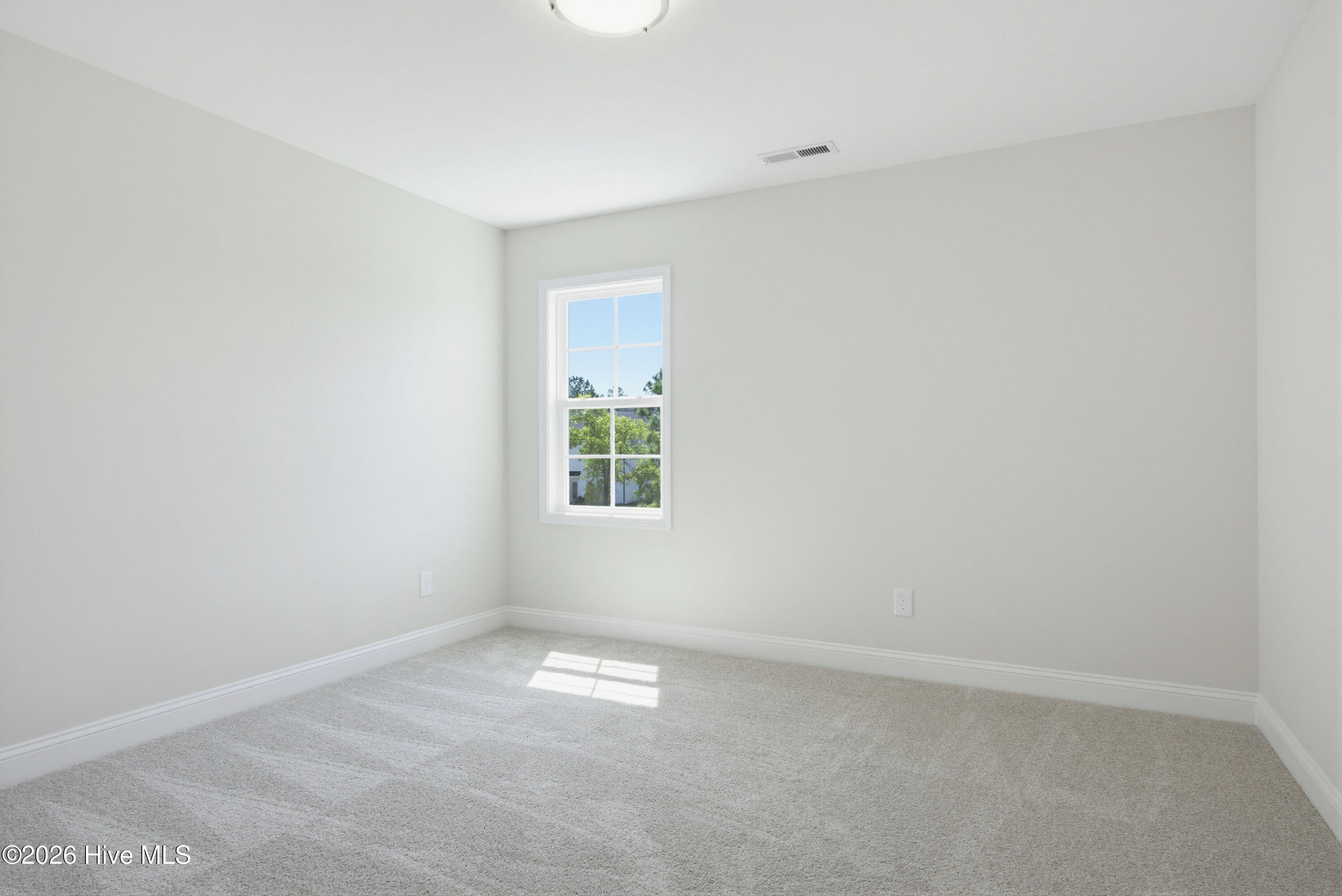 100567263 | Photo 22