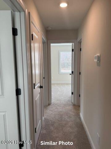 100539556 | Photo 18