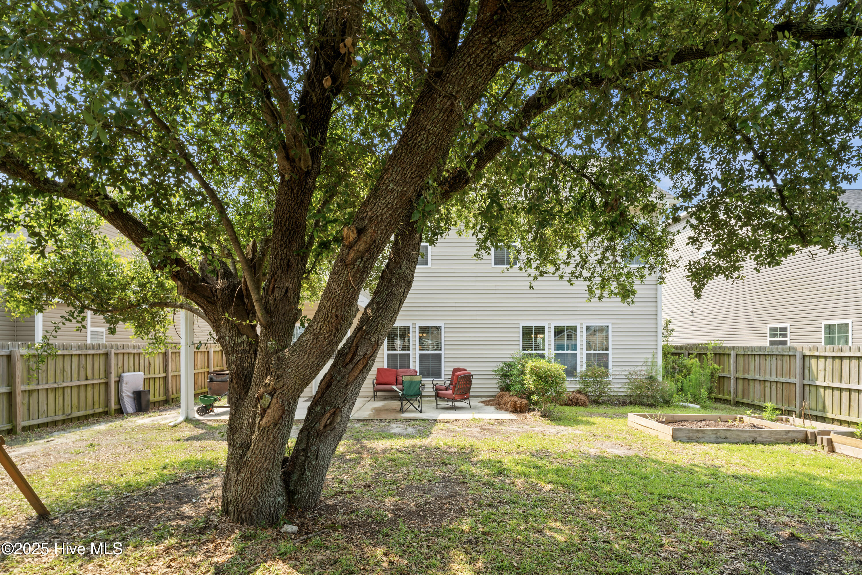 100511448 | Photo 38