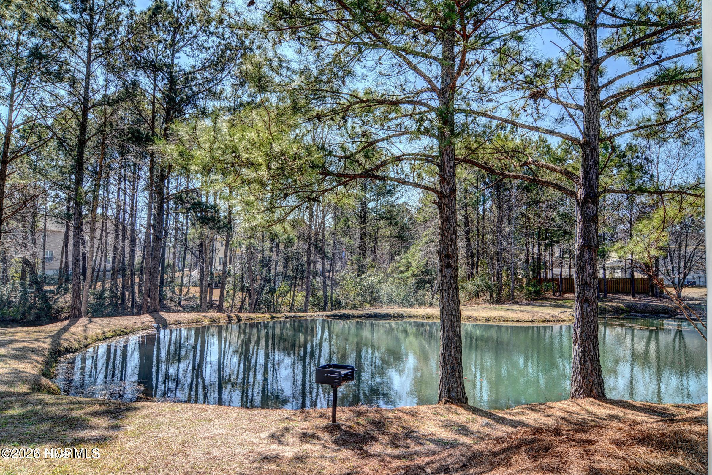 151 Cornel Lane, Hampstead, NC 28443 – photo 11: DWL - 1