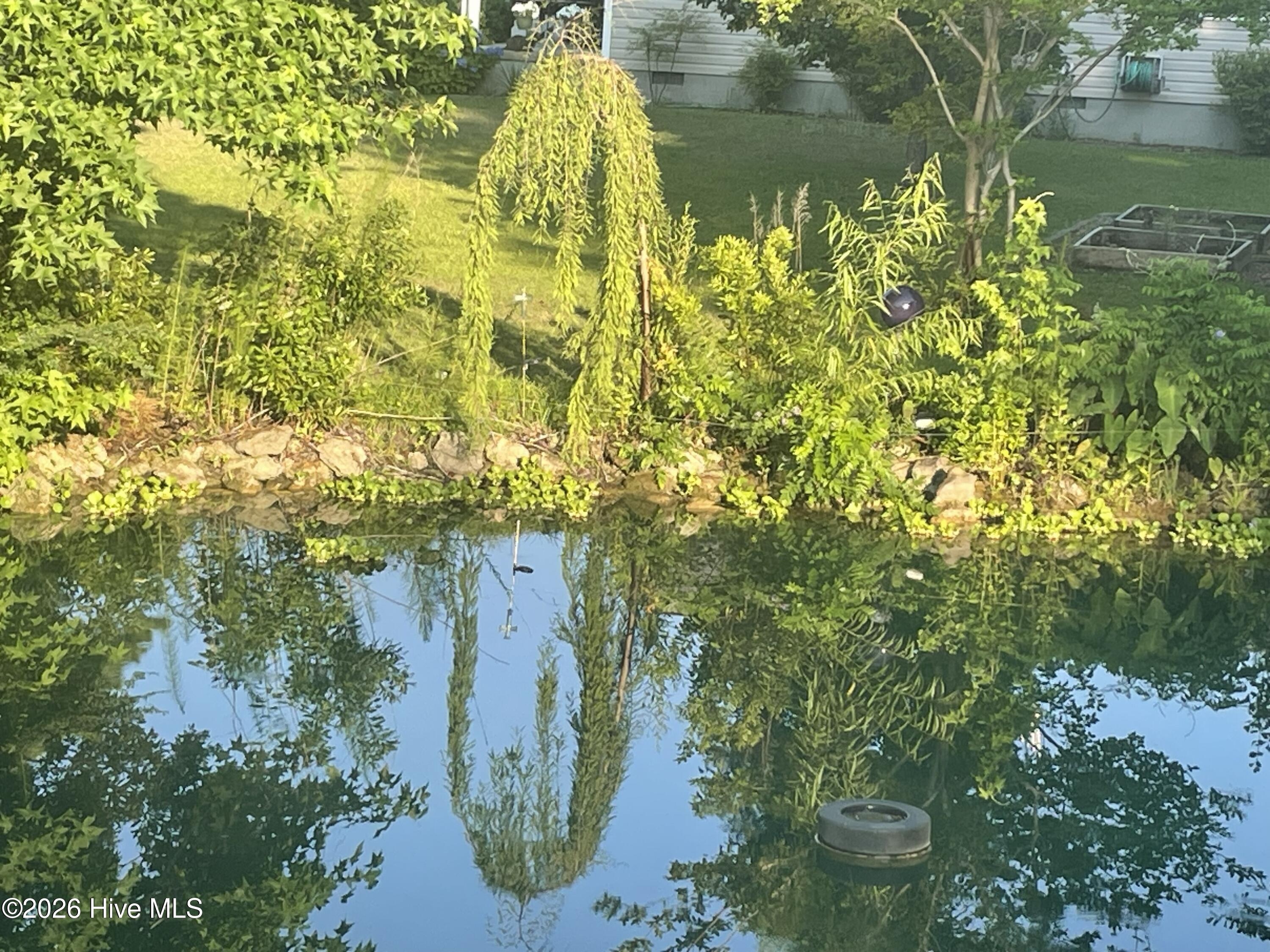 100563563 | Photo 47