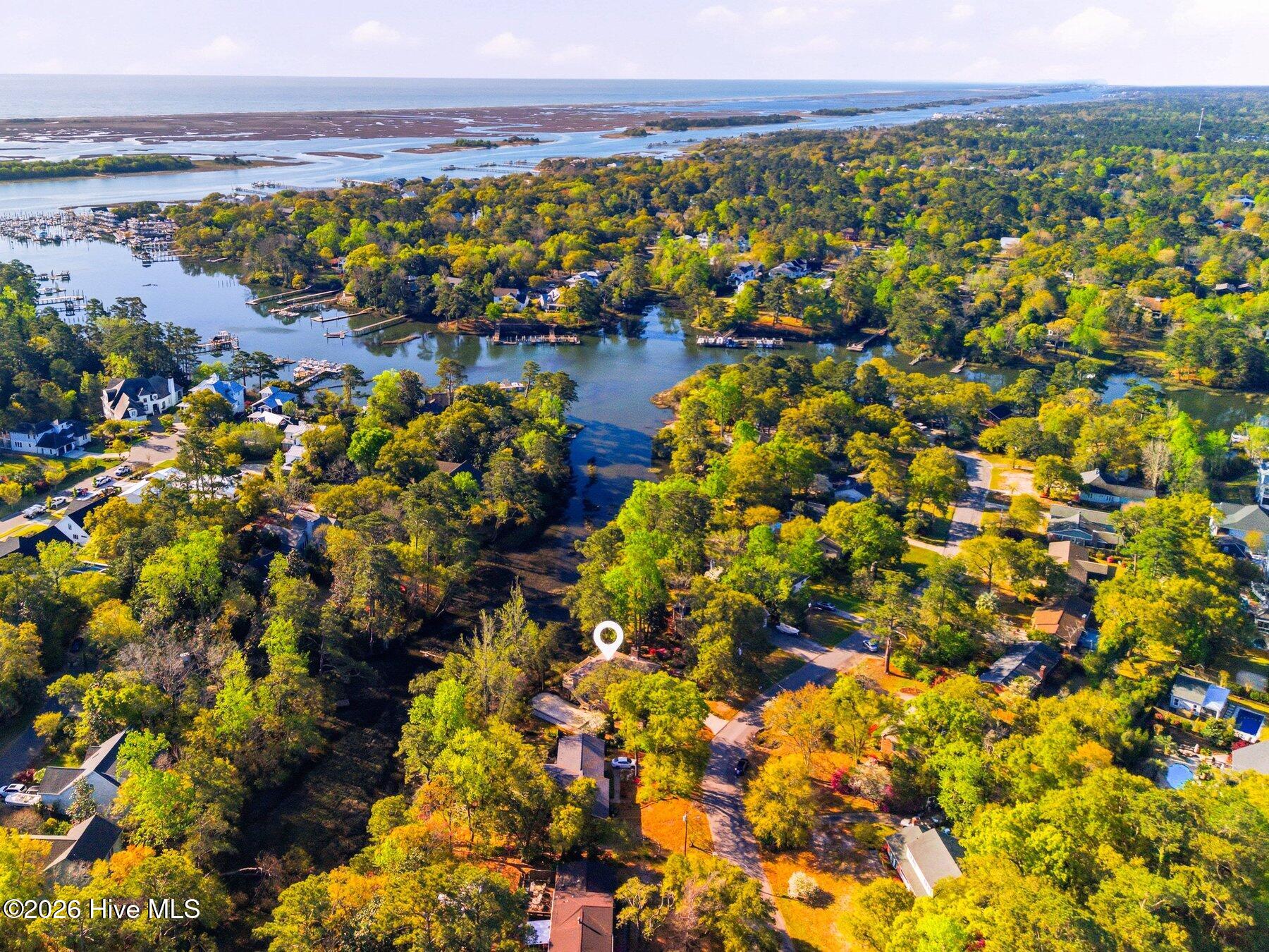 100564189 | Photo 16