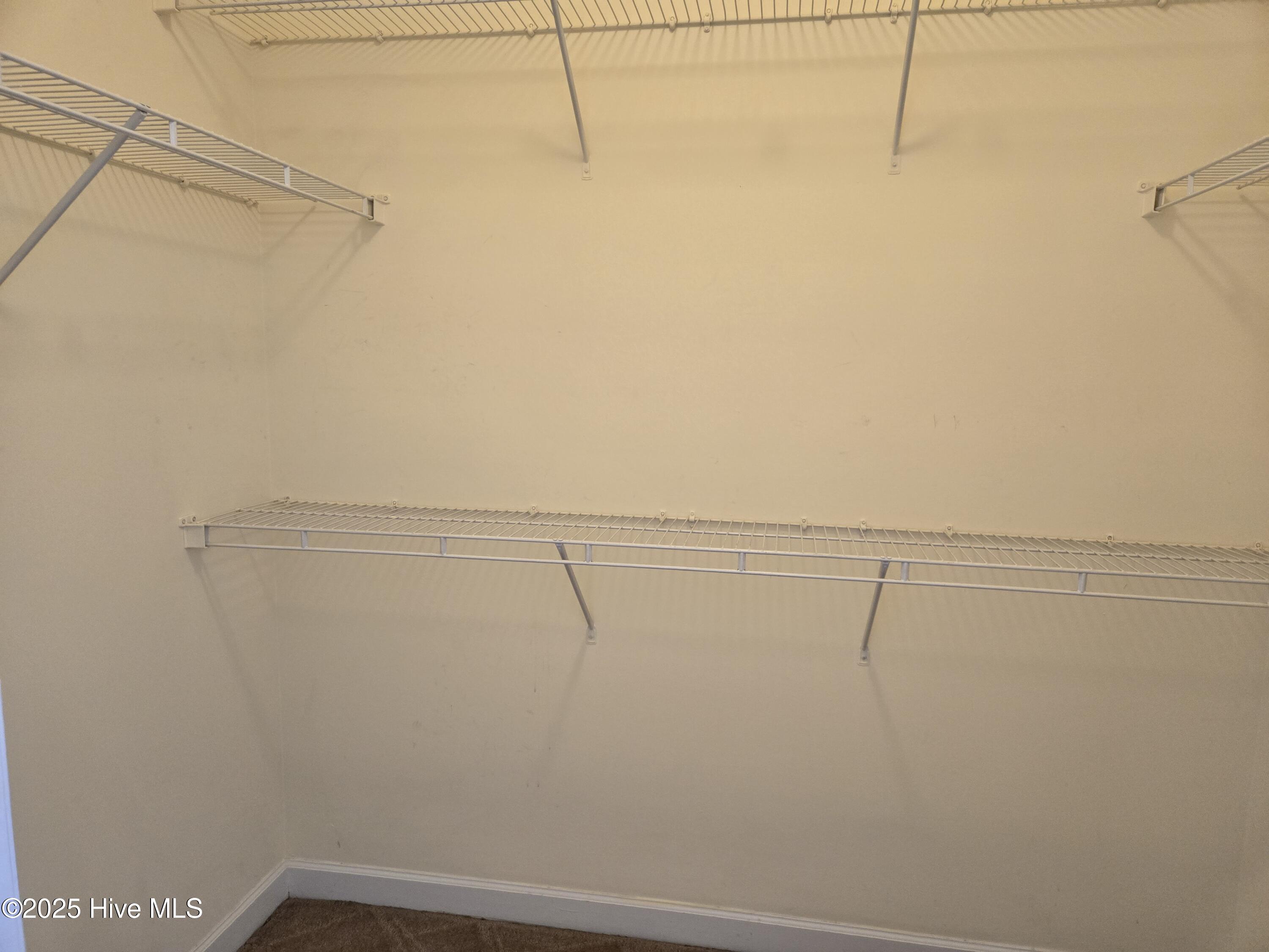 100538006 | Photo 14