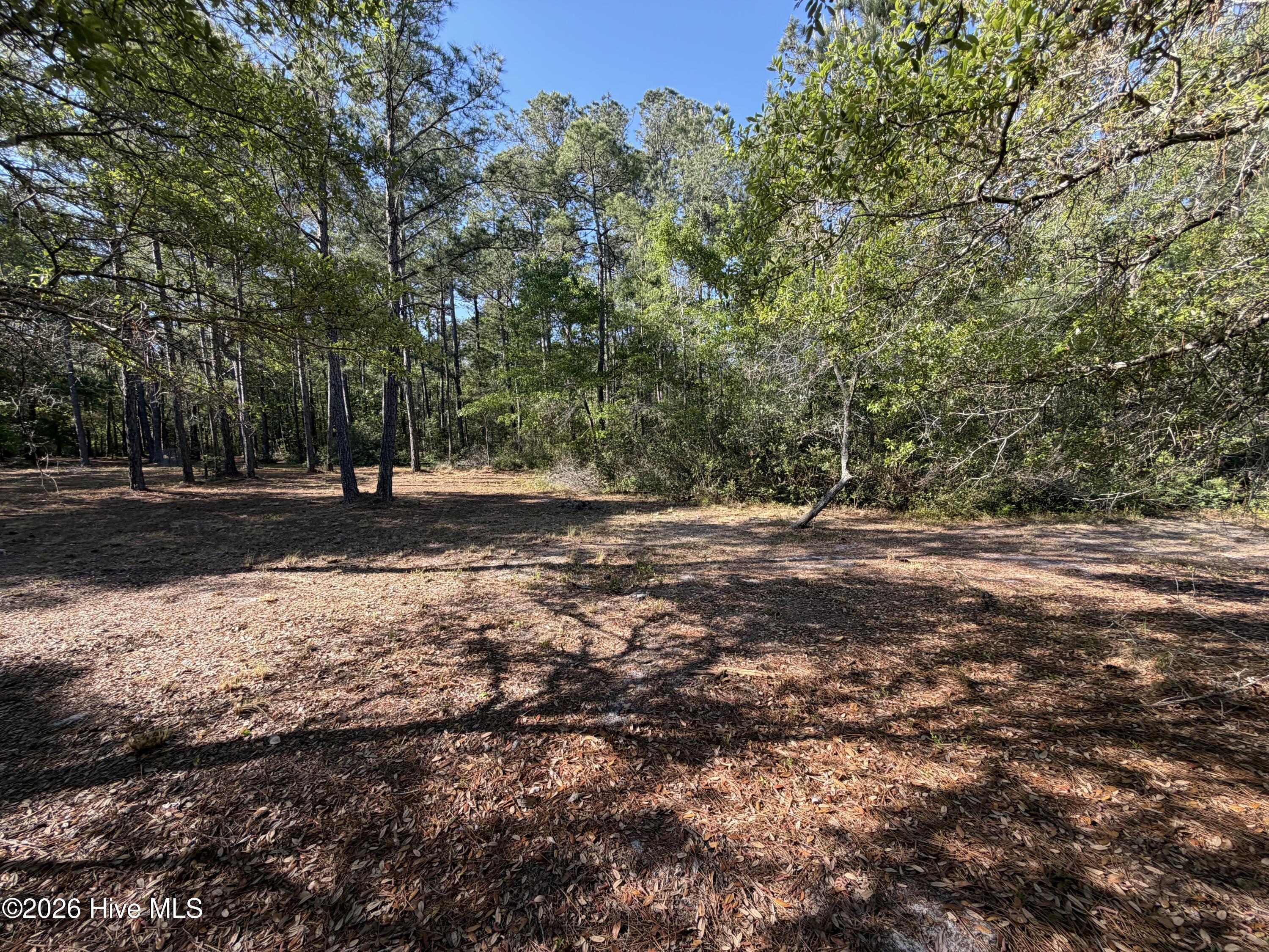 100569974 | Photo 20