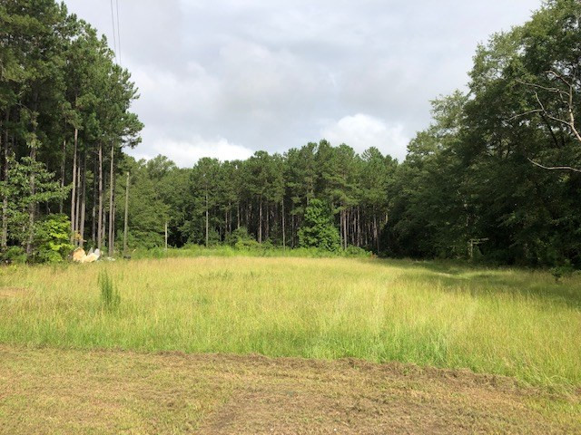 11771 Edgehill Avera Road, Gibson, GA 30810 Listing Photo  19