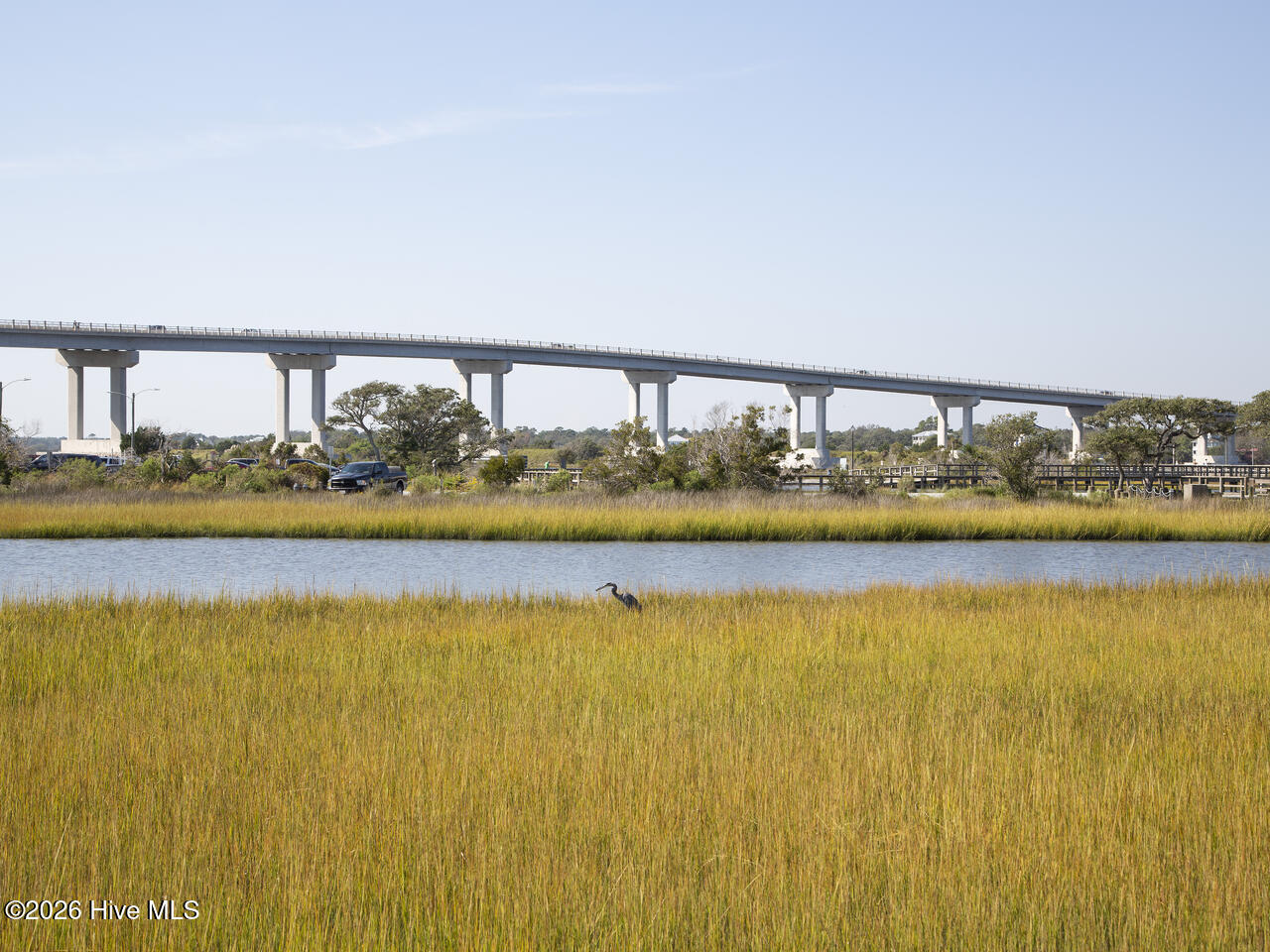 100488135 | Photo 47