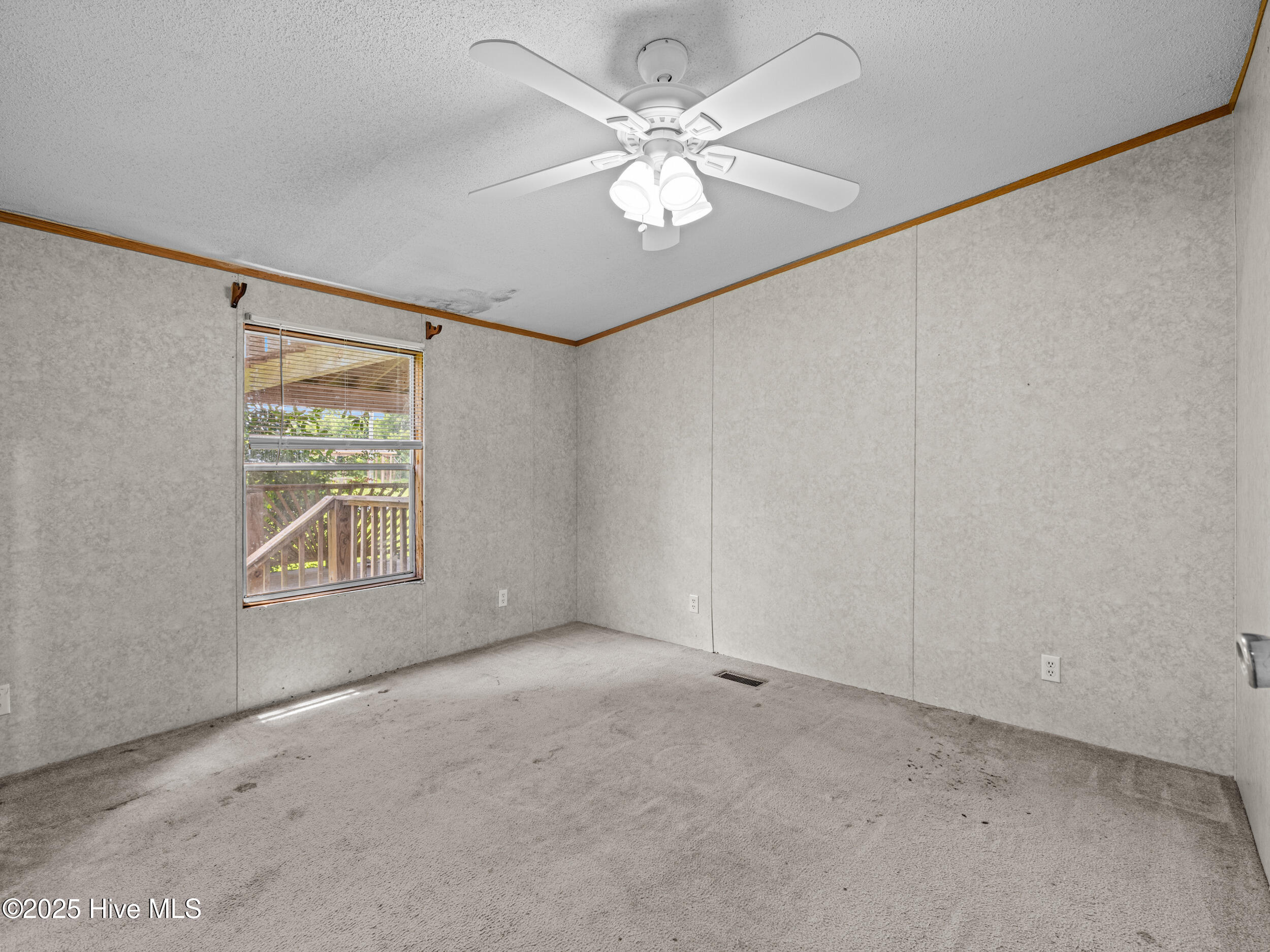 100520478 | Photo 25