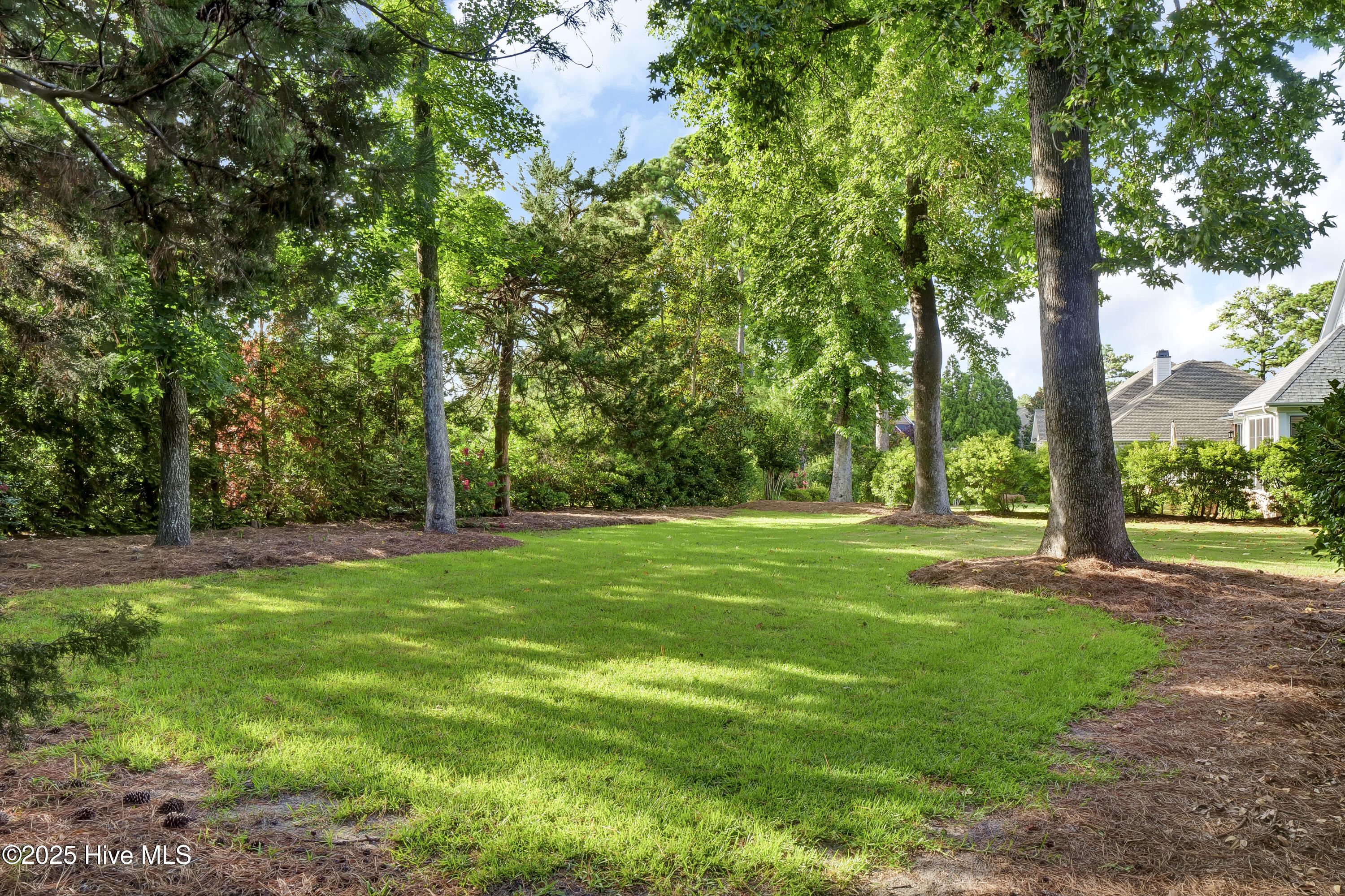 100518600 | Photo 51