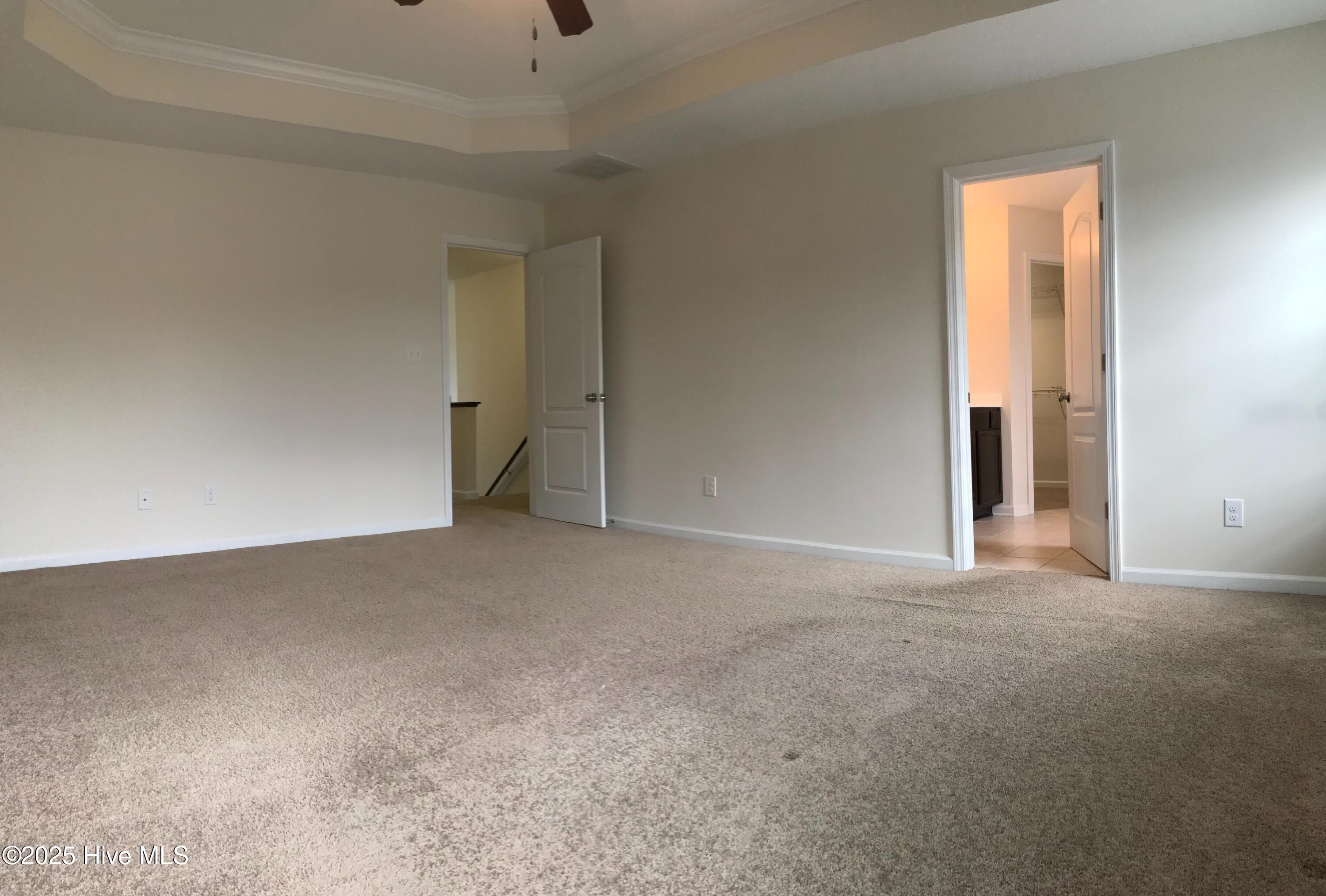 100544459 | Photo 30