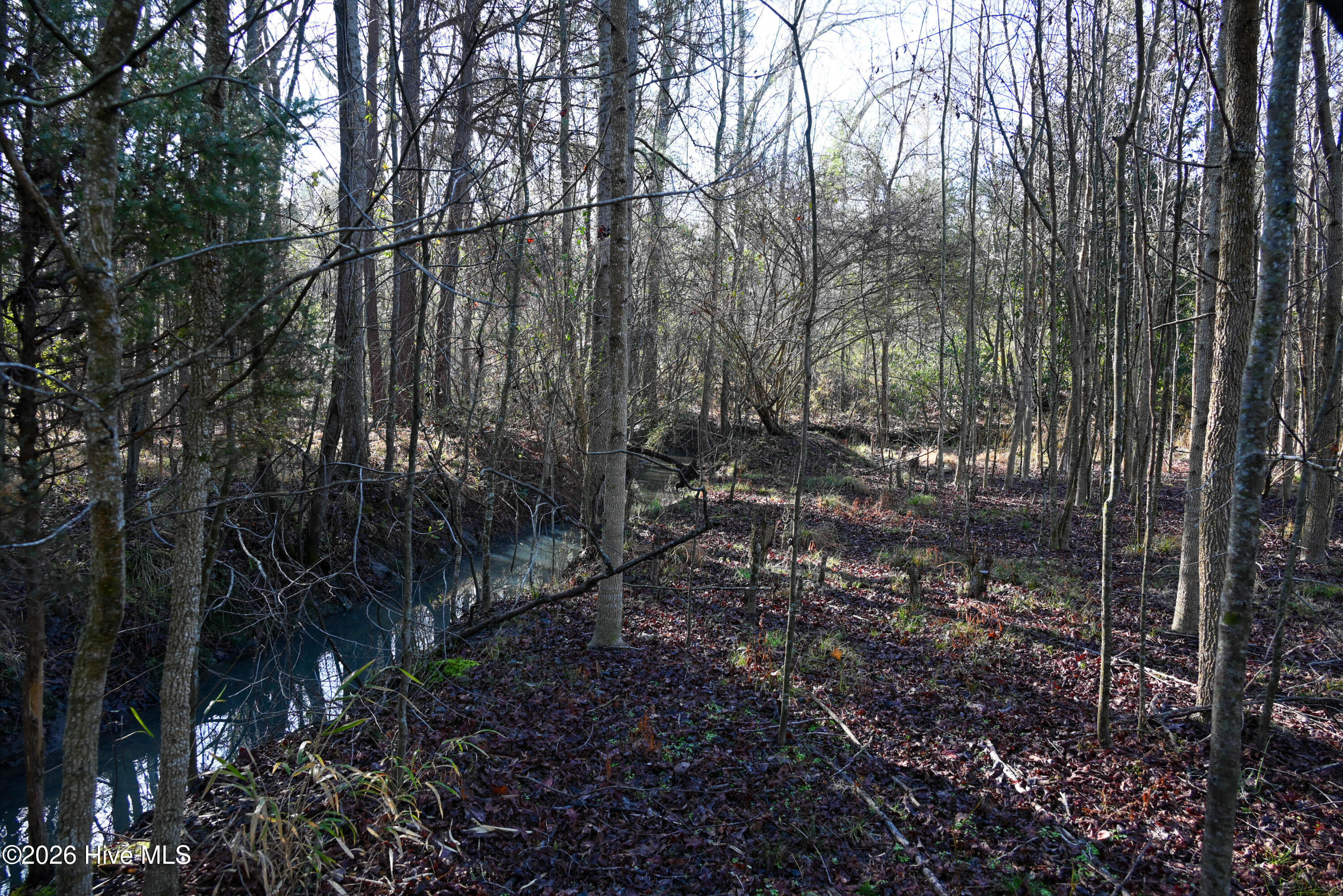 100560038 | Photo 21