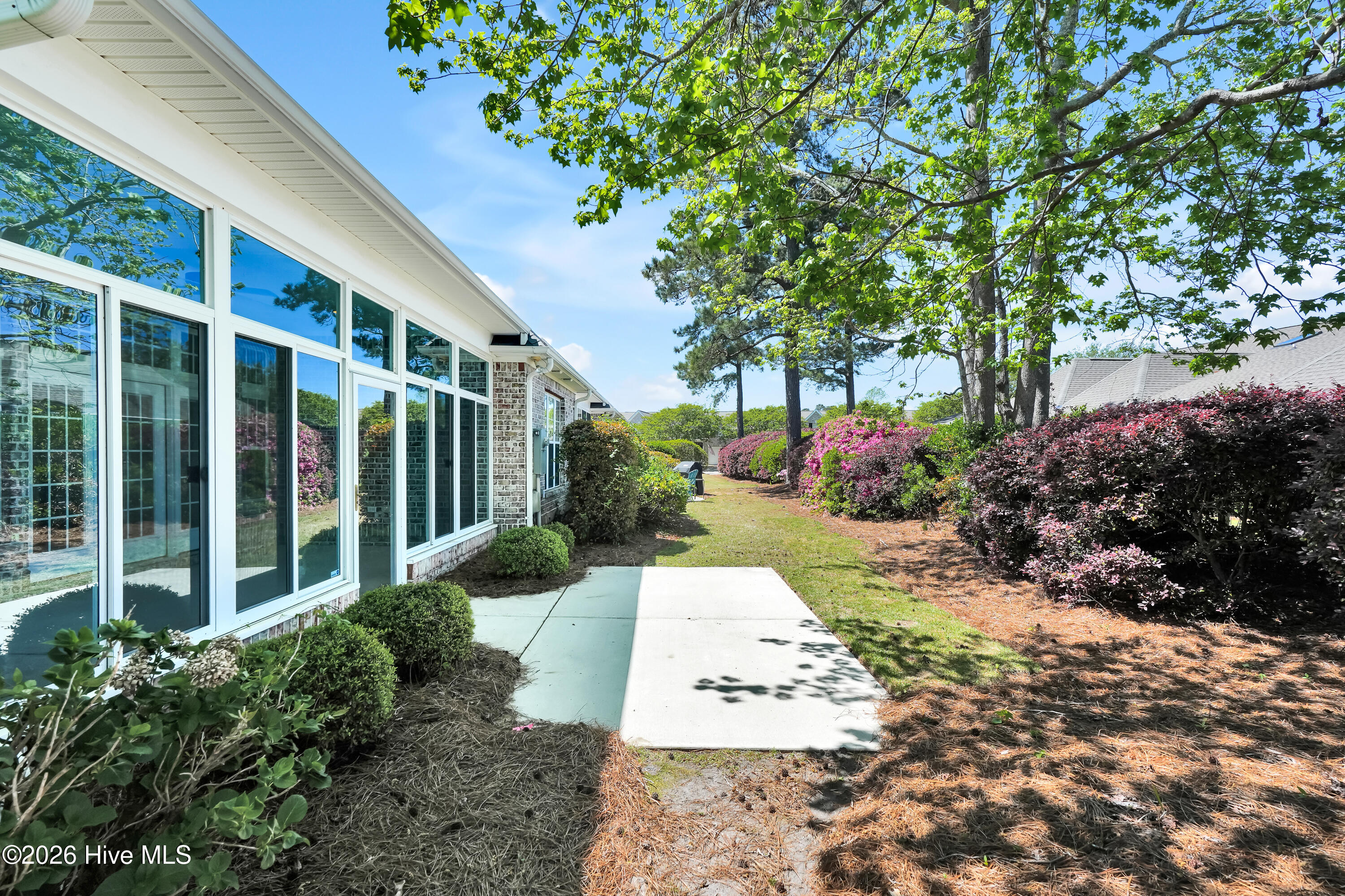 100554924 | Photo 36