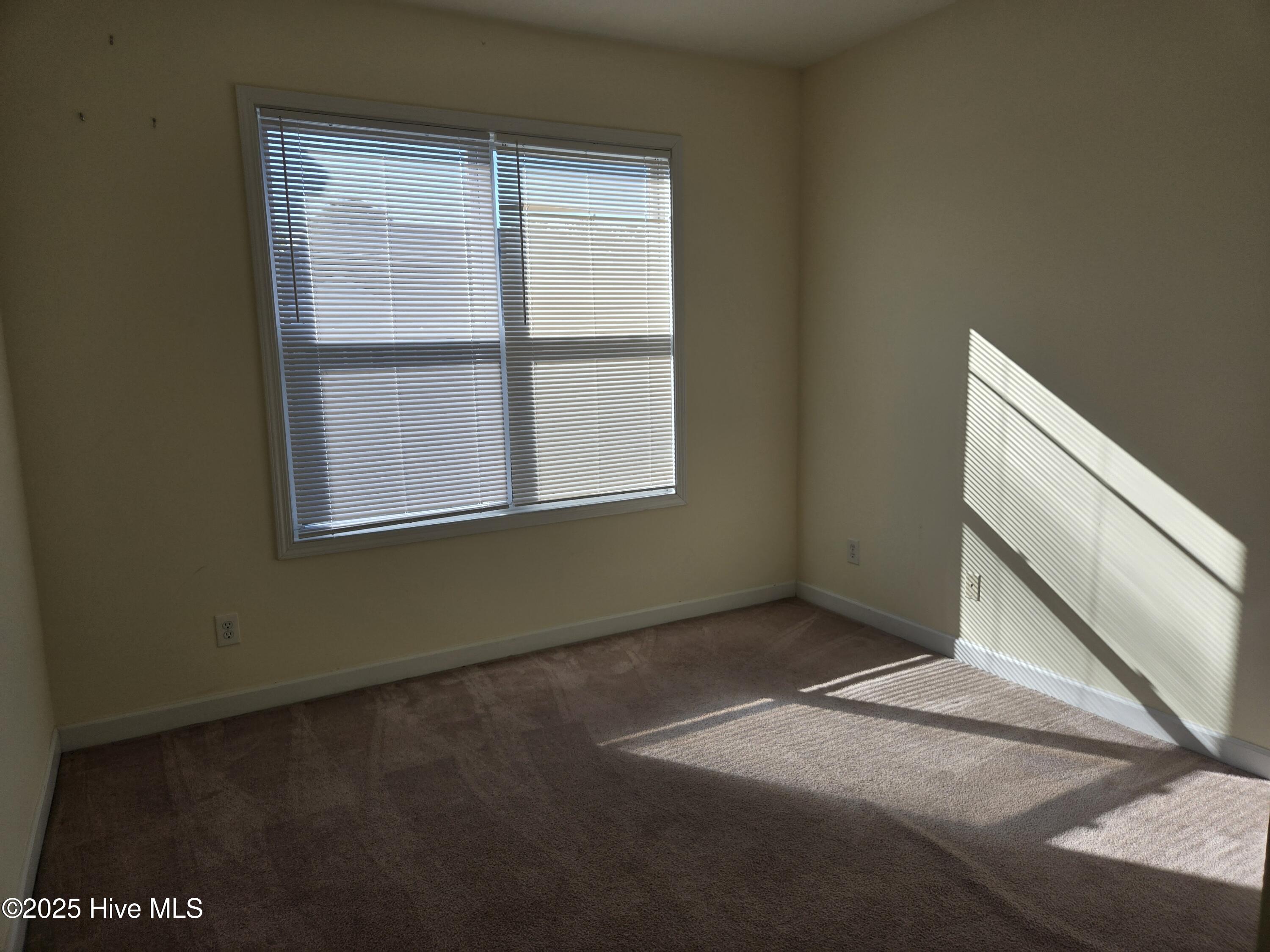 100538006 | Photo 21