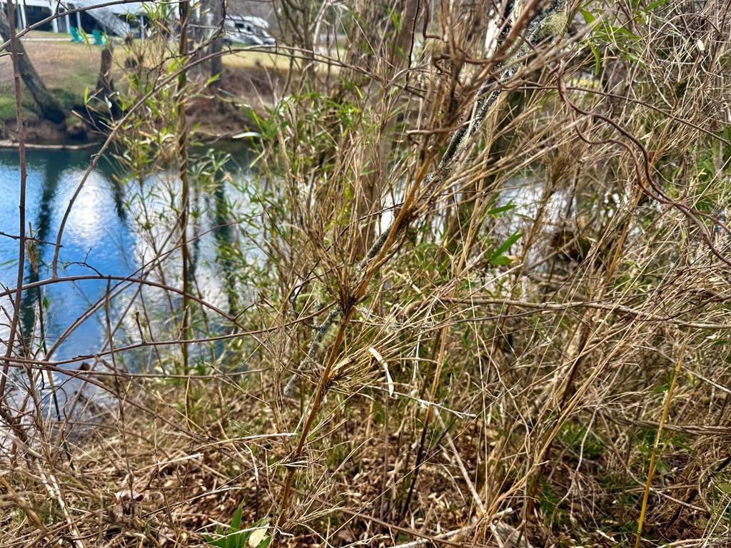 0 Butterball, Murphy, North Carolina, 0 ,For sale,Butterball,98544228 0 Butterball, Murphy, North Carolina, 0 ,For sale,Butterball,98544228
