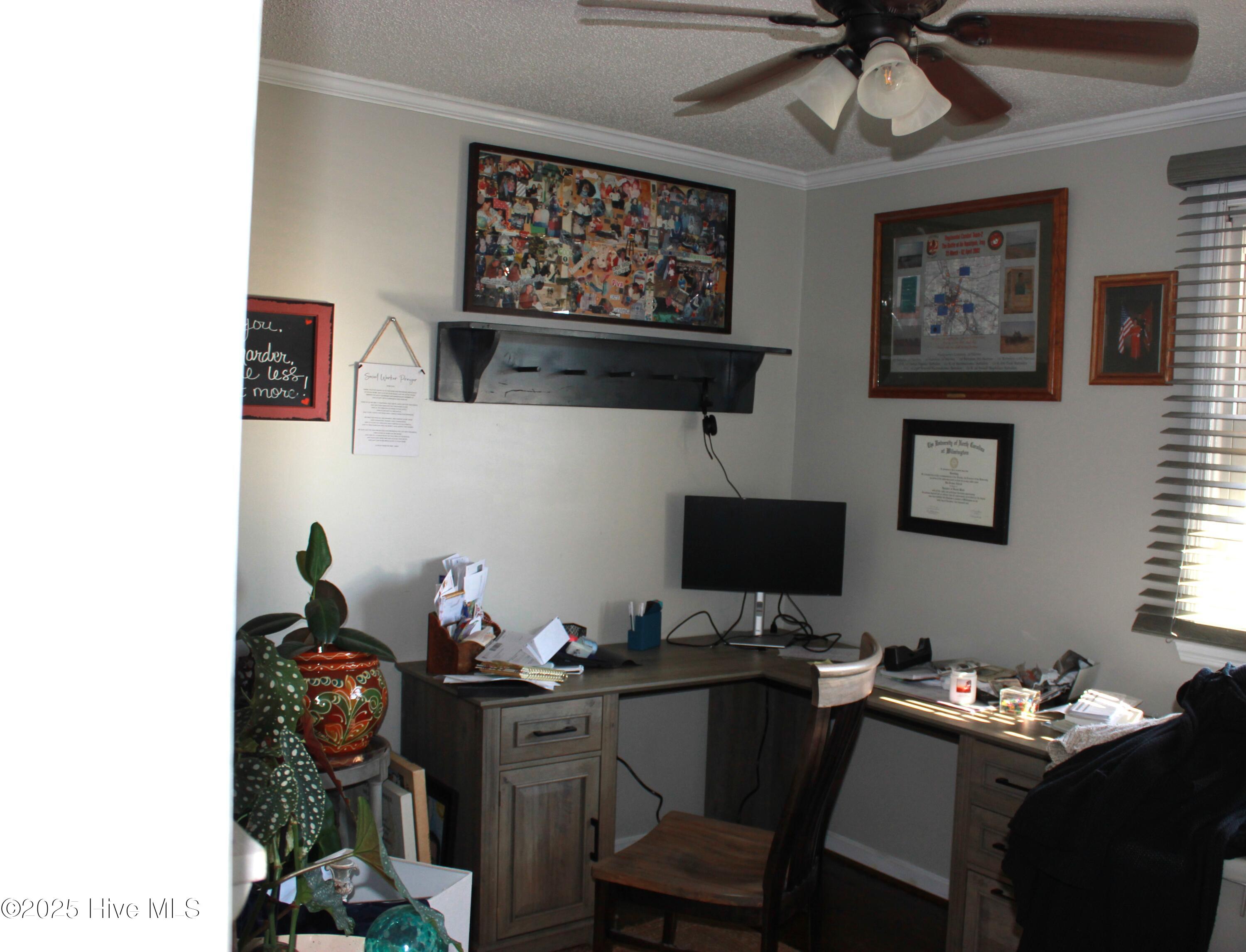 100546240 | Photo 23