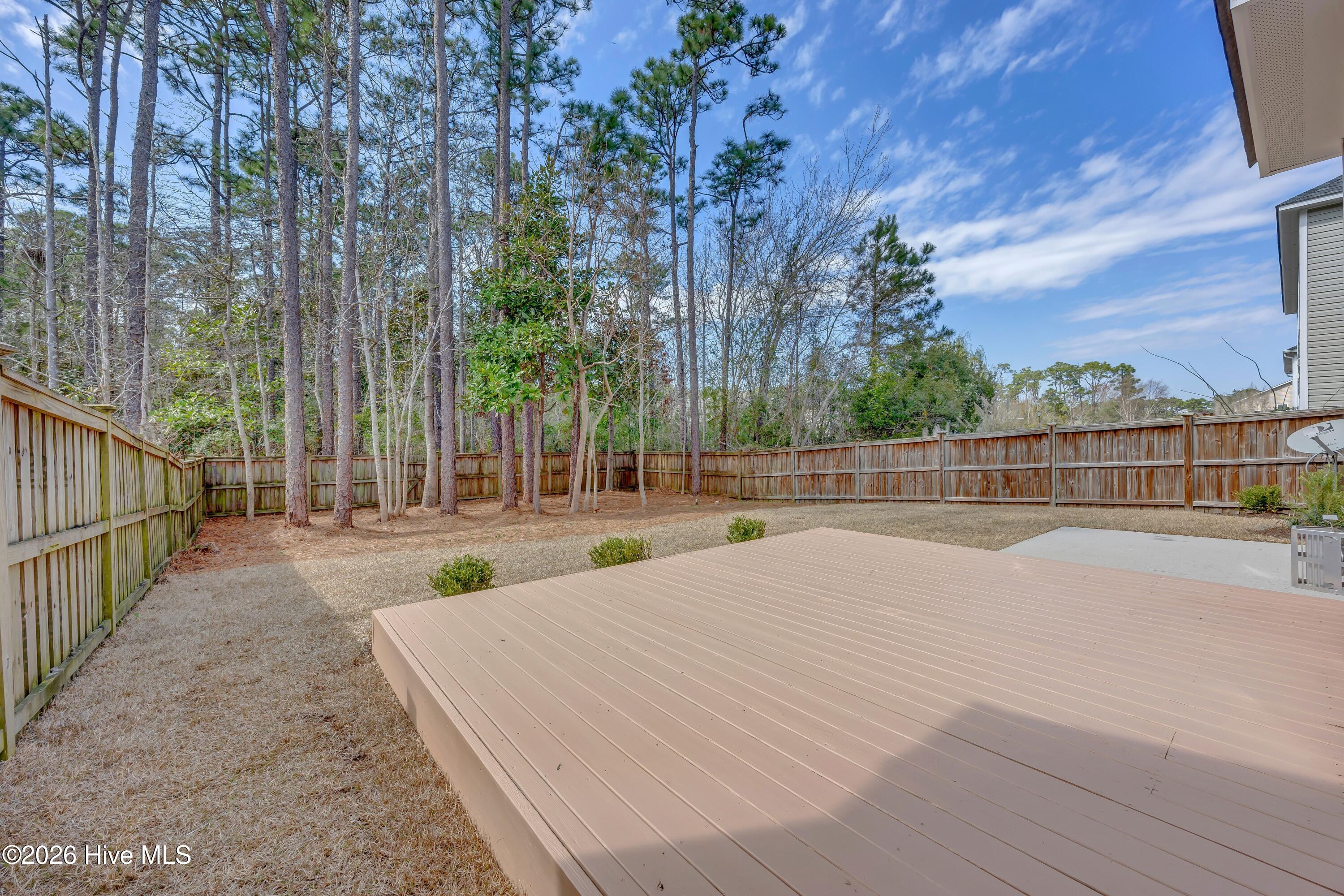 100560481 | Photo 29