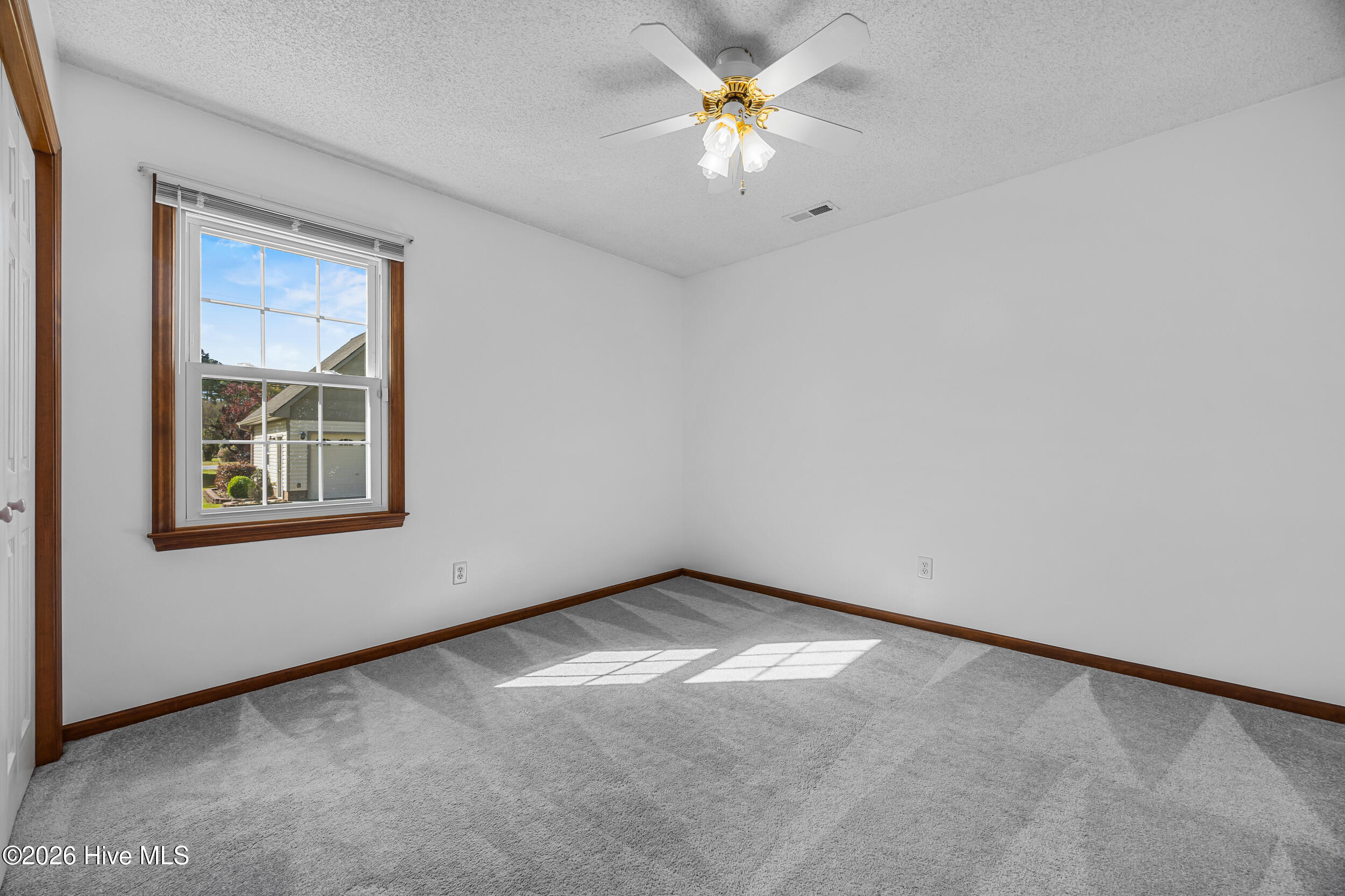 100565895 | Photo 26