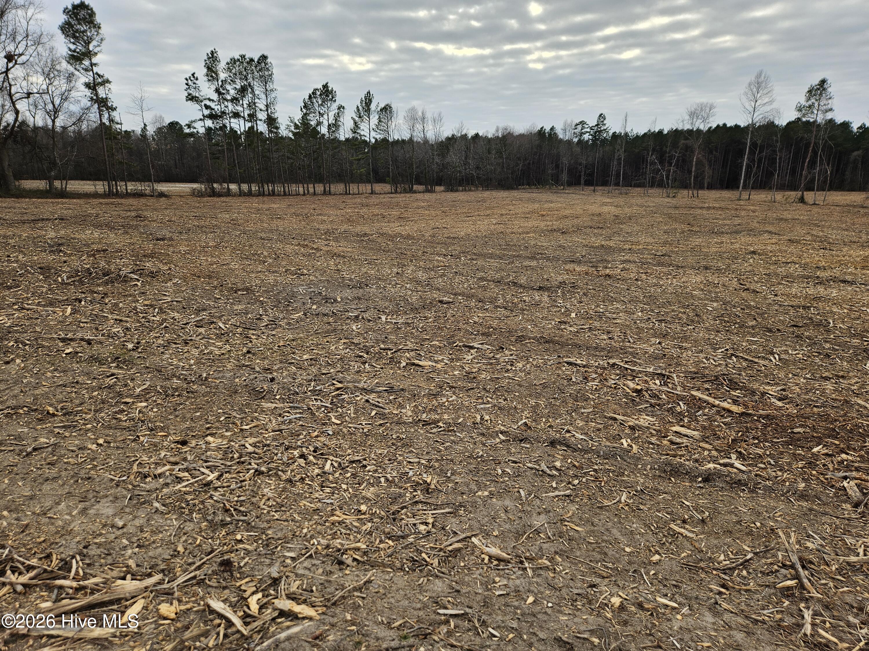 11) 66605-695dabeeacf5a