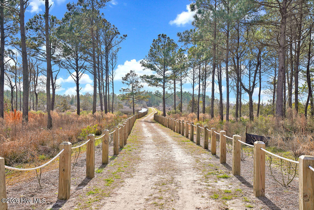 100553189 | Photo 49