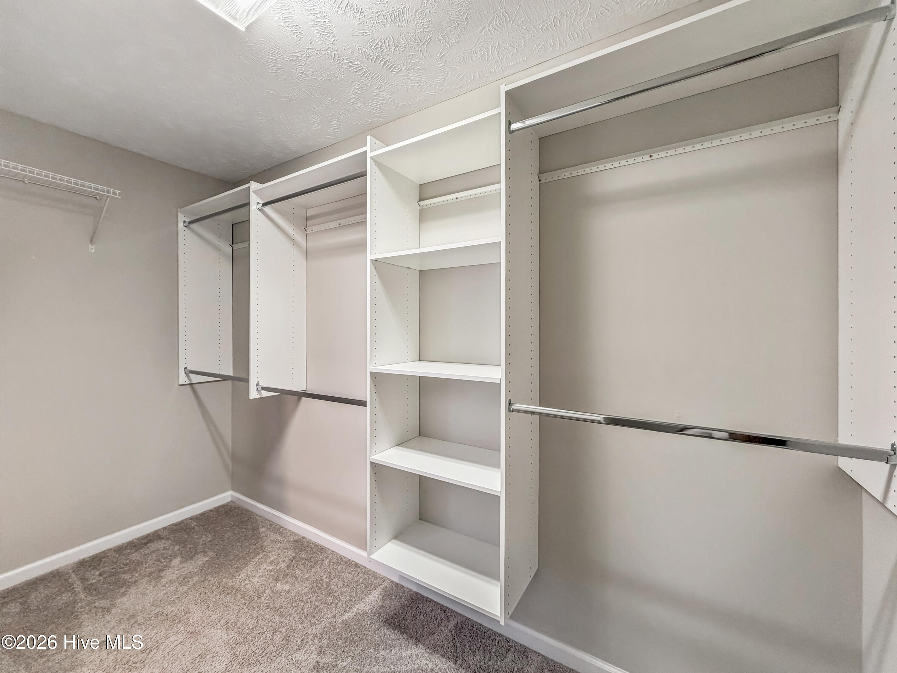 100564126 | Photo 32