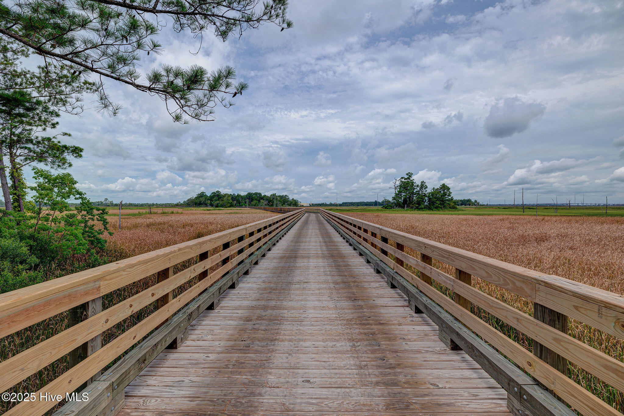 100488760 | Photo 28