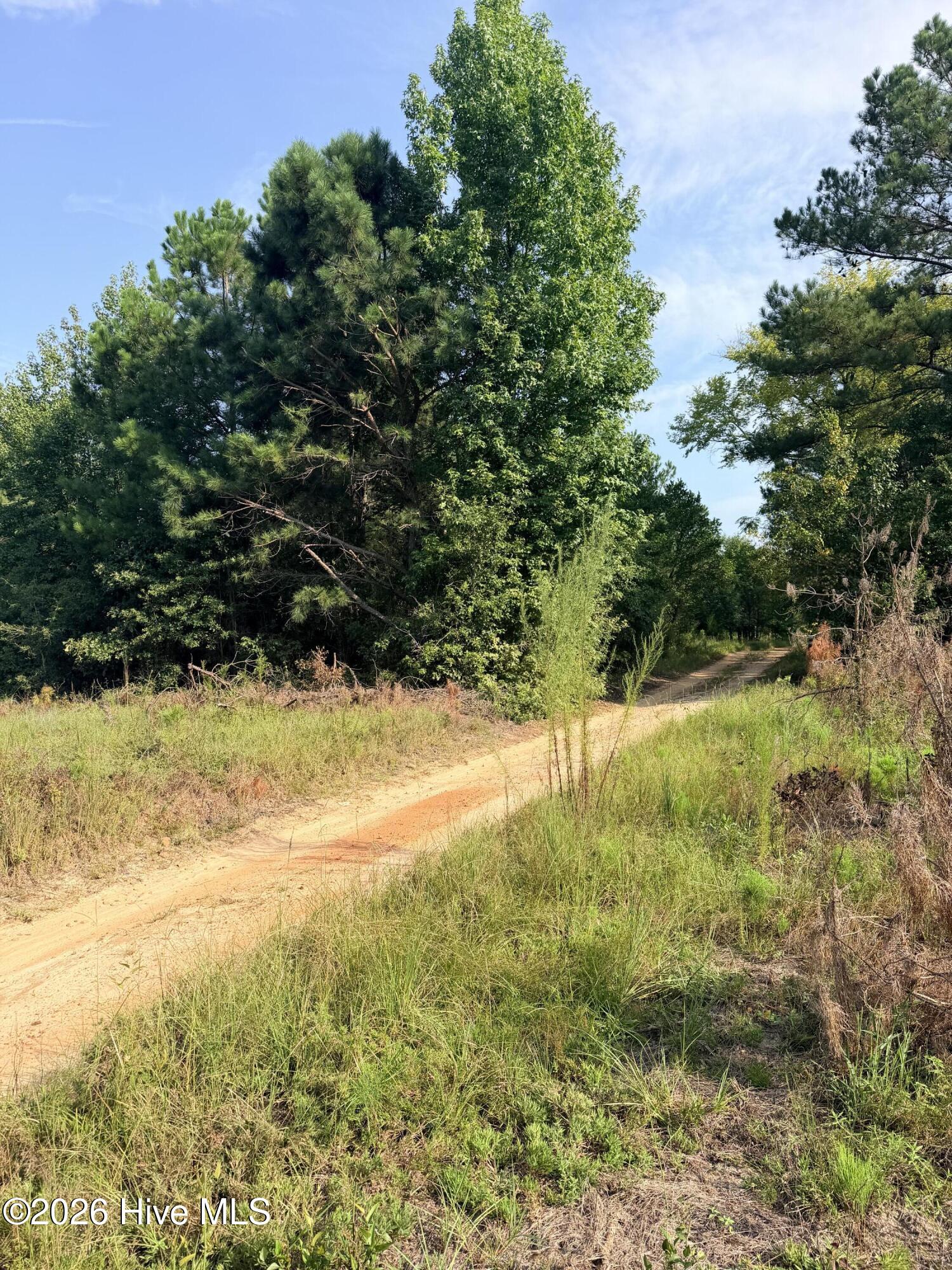 2nd image of 141 Autumn Chase Ln, Beech Island, SC 29842 | MLS# 100598358