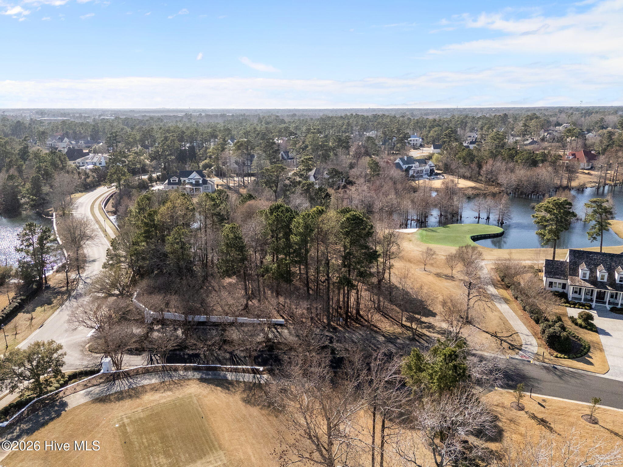 100559431 | Photo 15