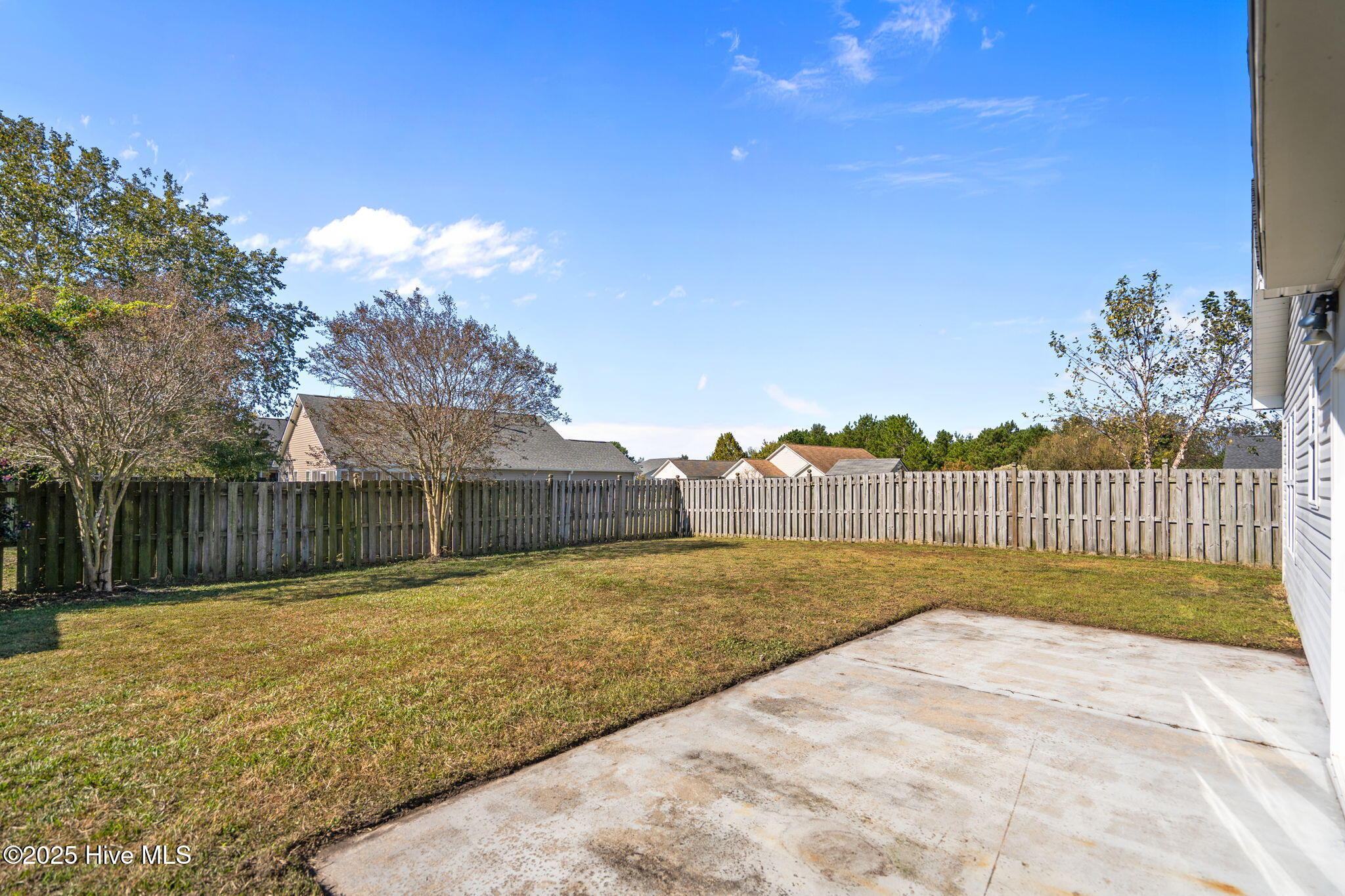 100537991 | Photo 15