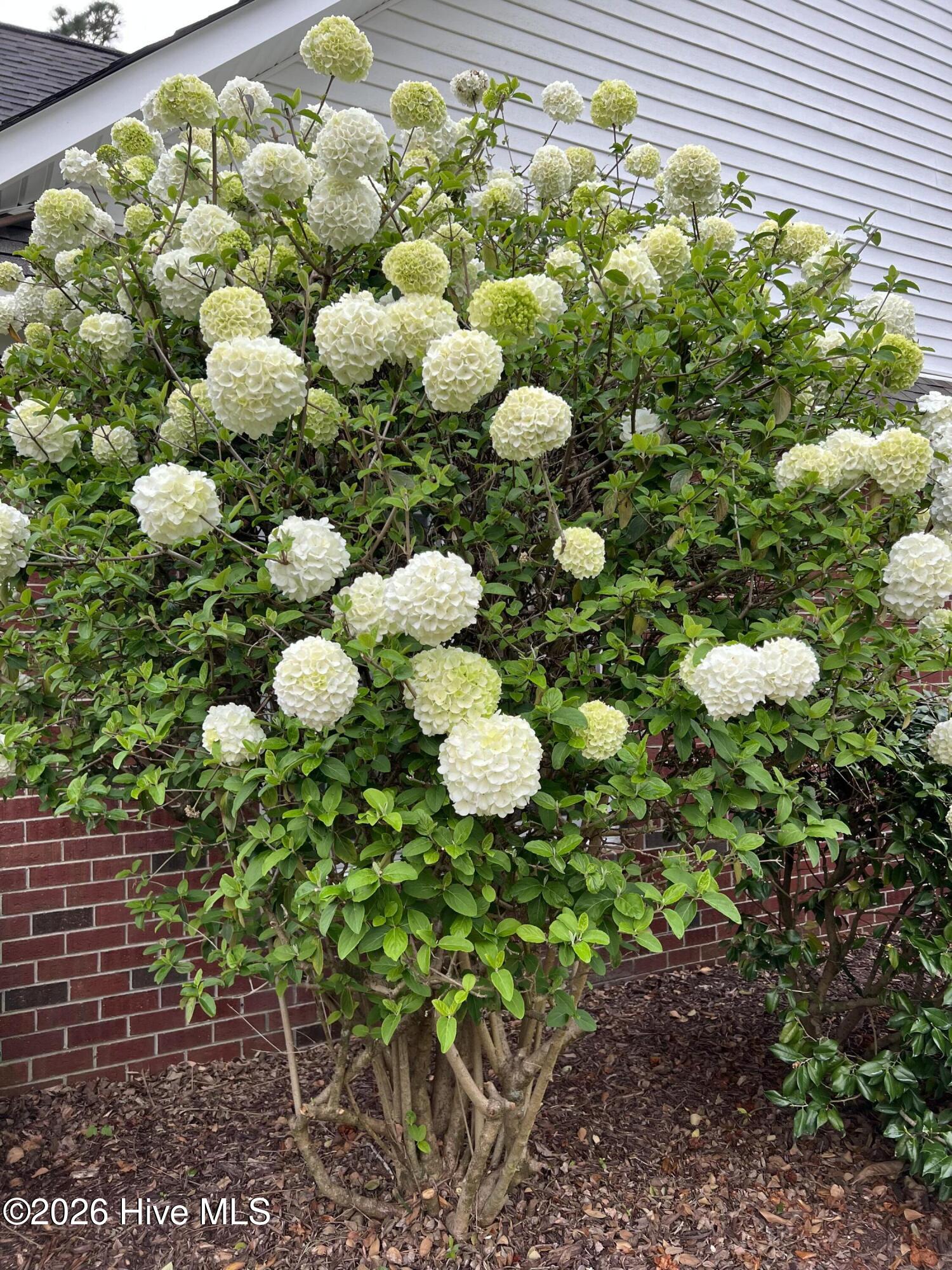 100556921 | Photo 56