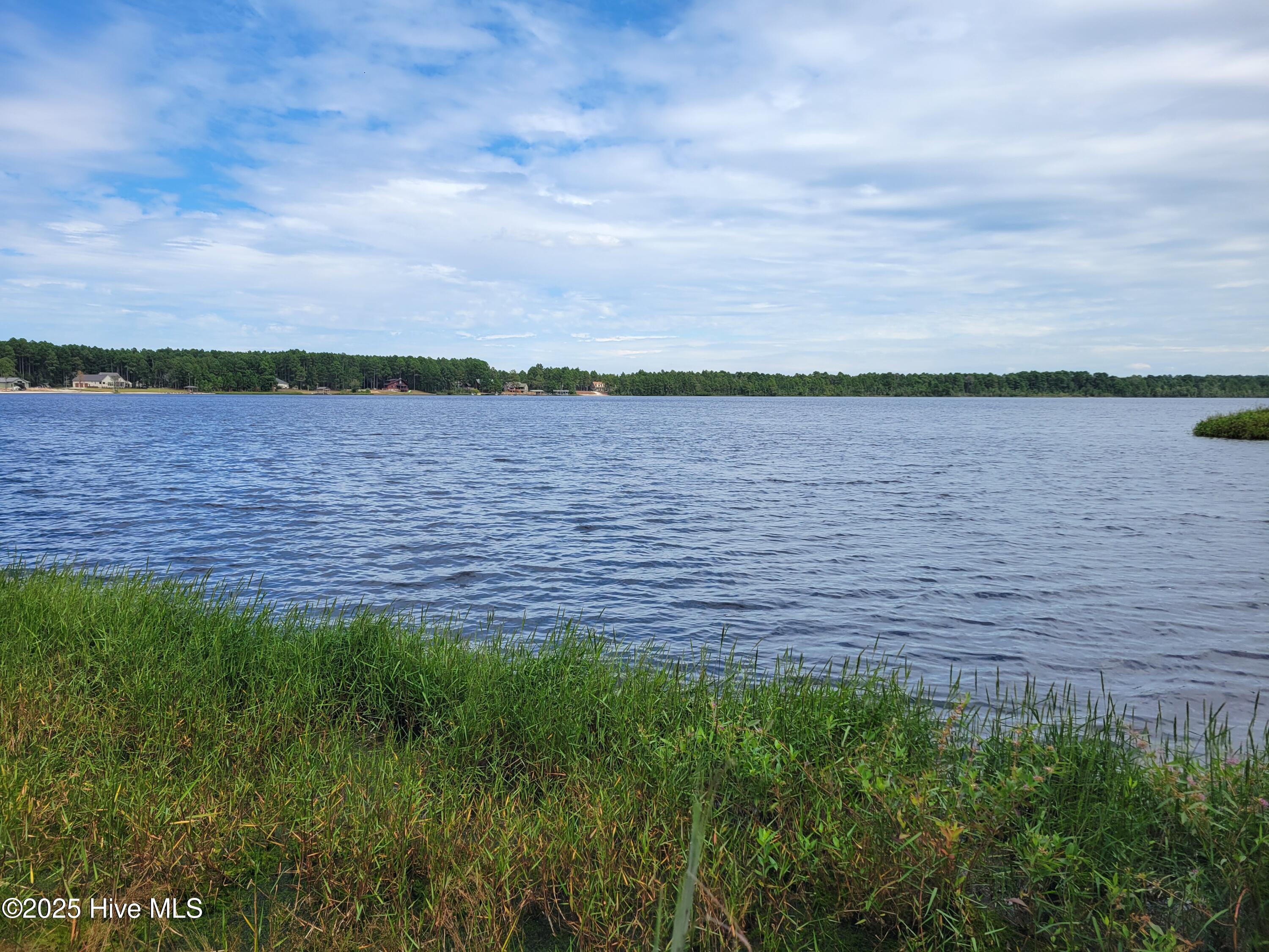 Homes for sale in Harrells, NC | 545 S Horsepen Dr, Harrells, NC 28444 | MLS# 100531349