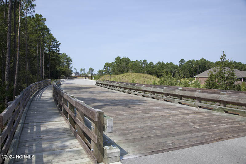 100531851 | Photo 42