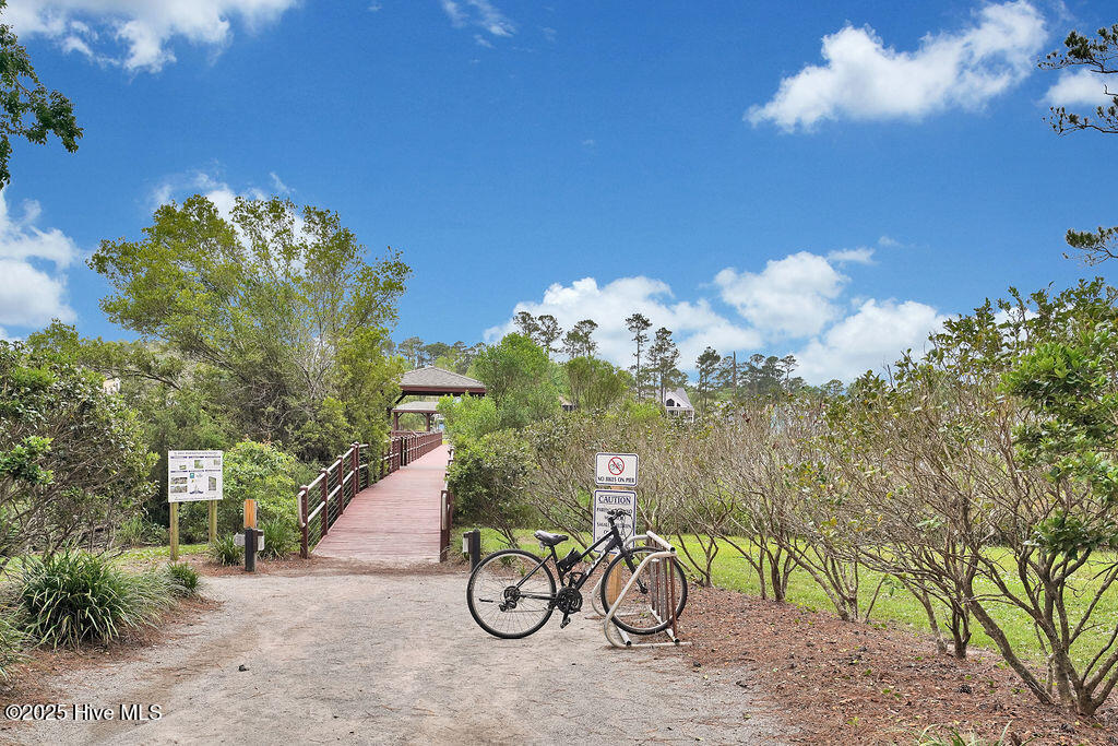 100554585 | Photo 109