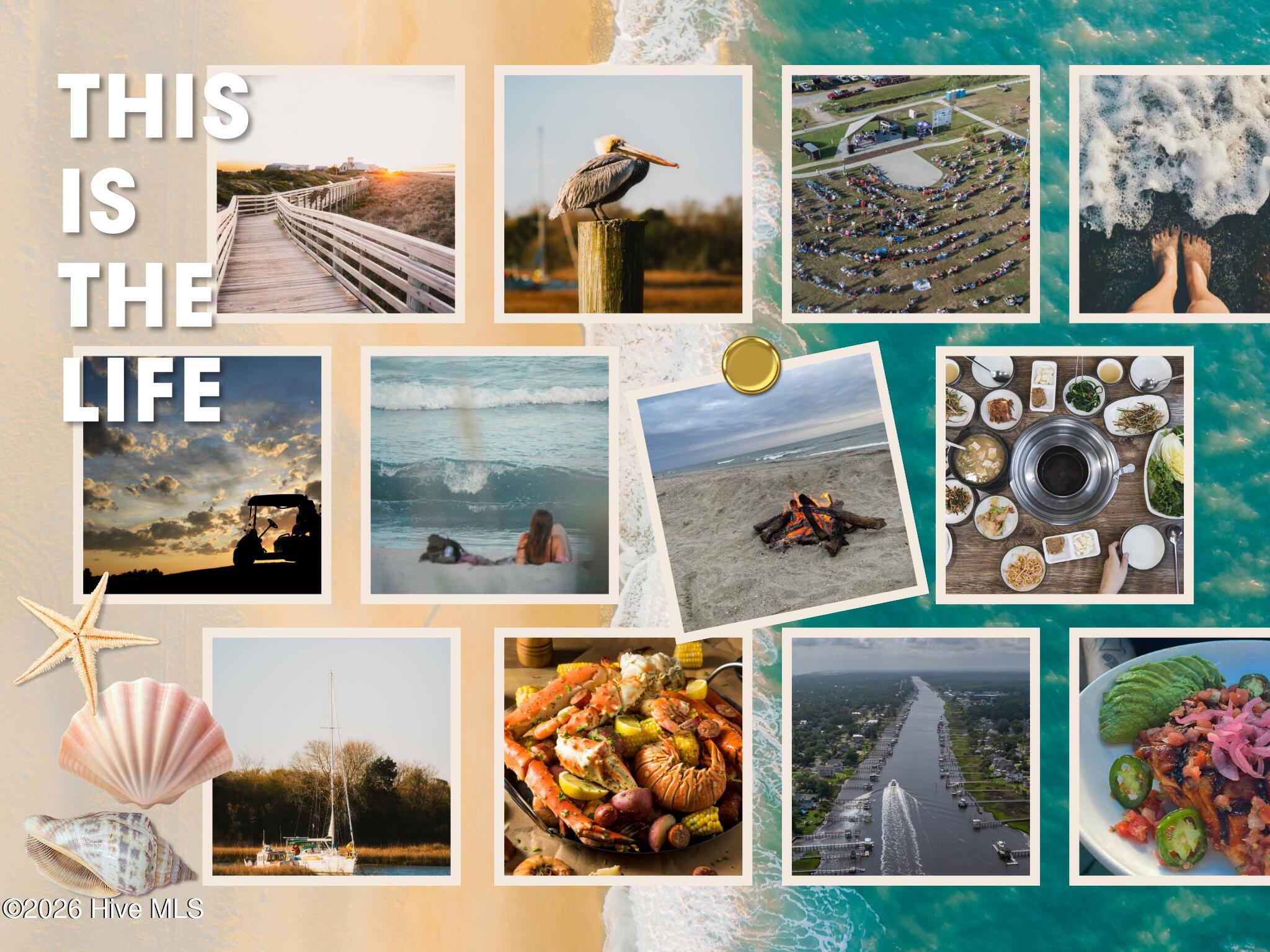 100561155 | Photo 74