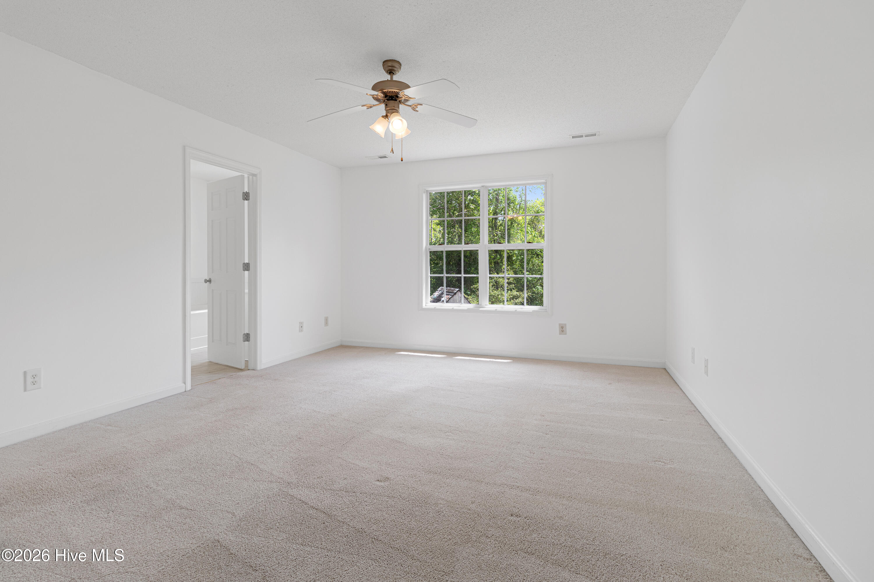 100570651 | Photo 14