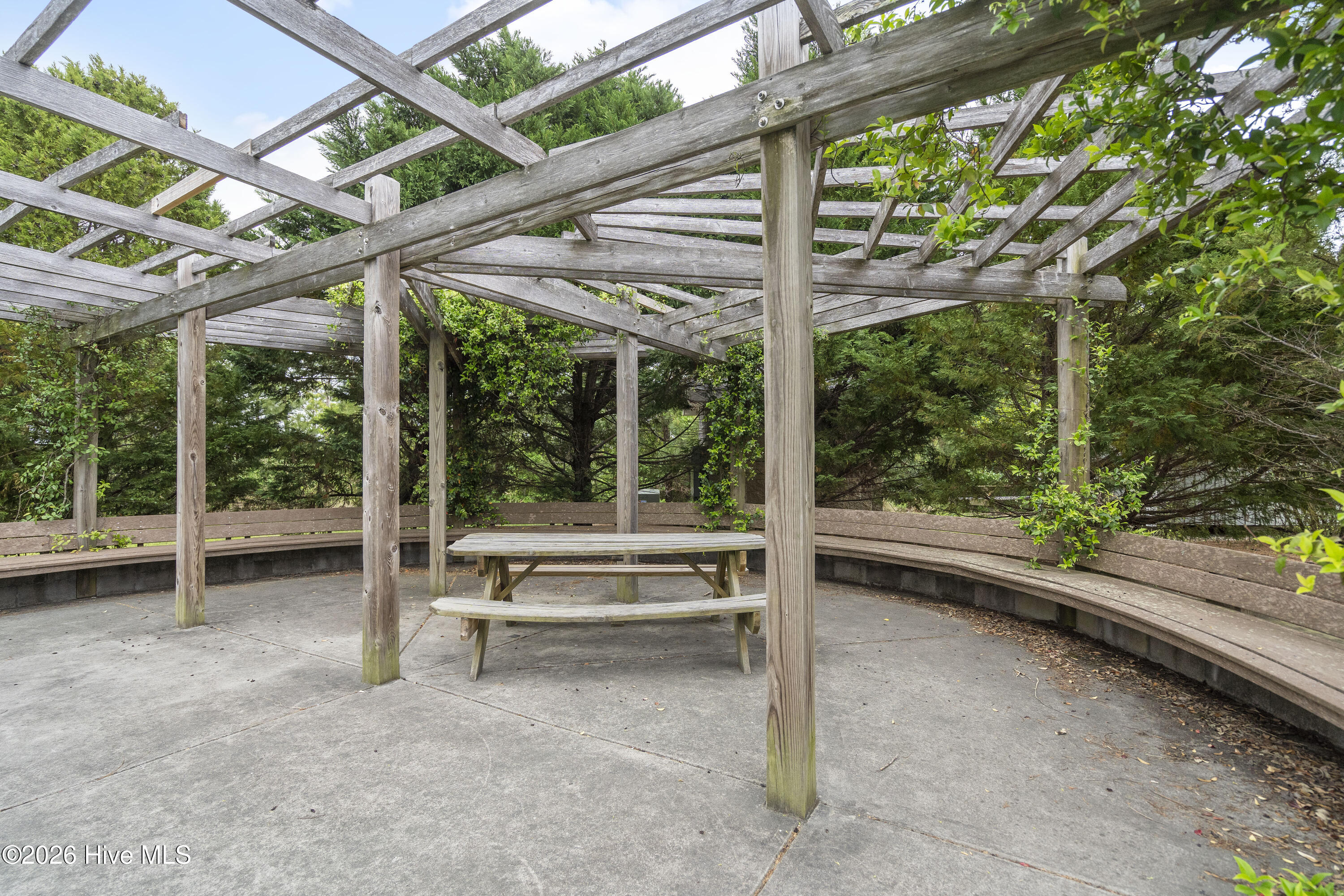 100562110 | Photo 92