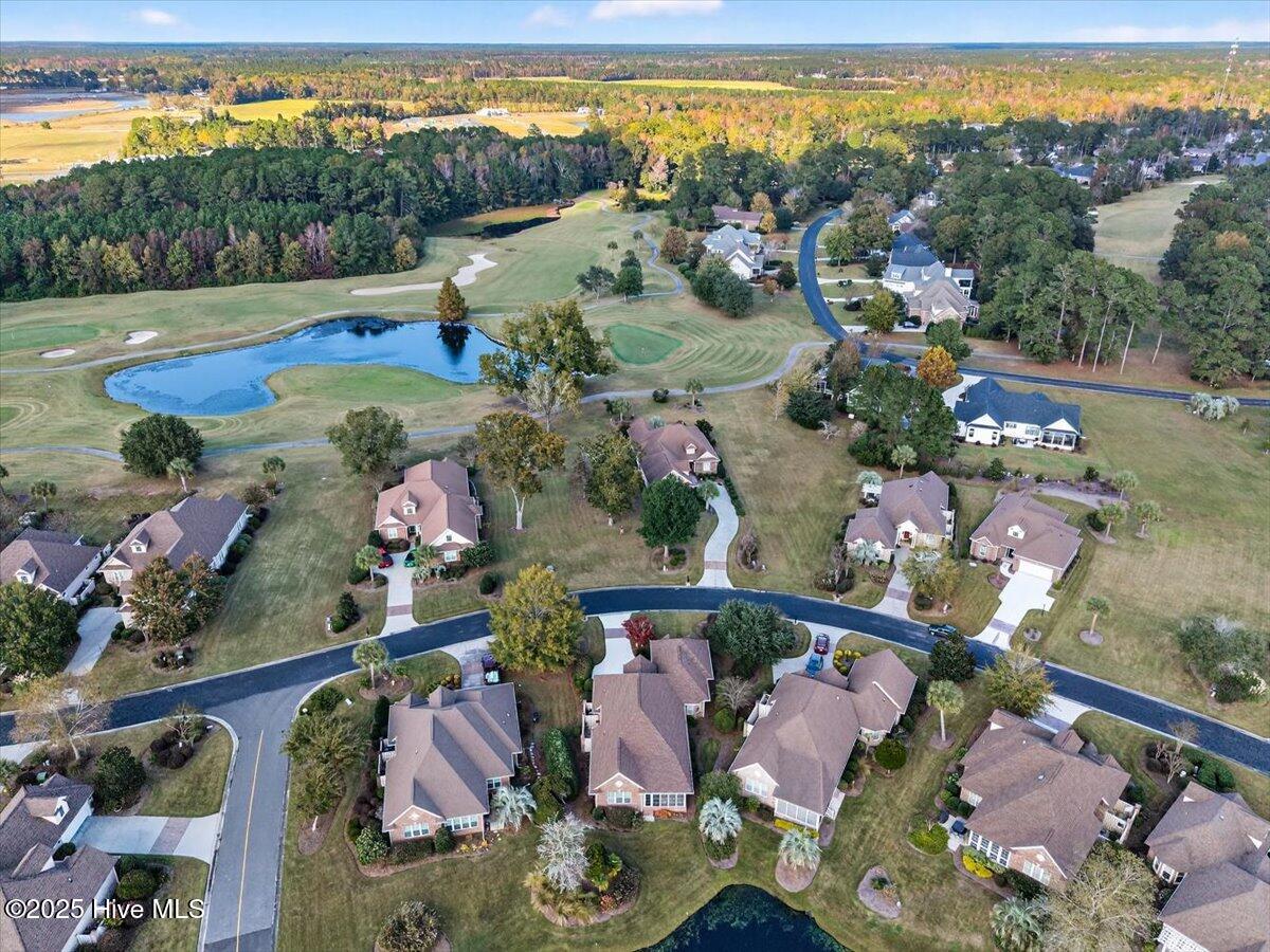 100539868 | Photo 51