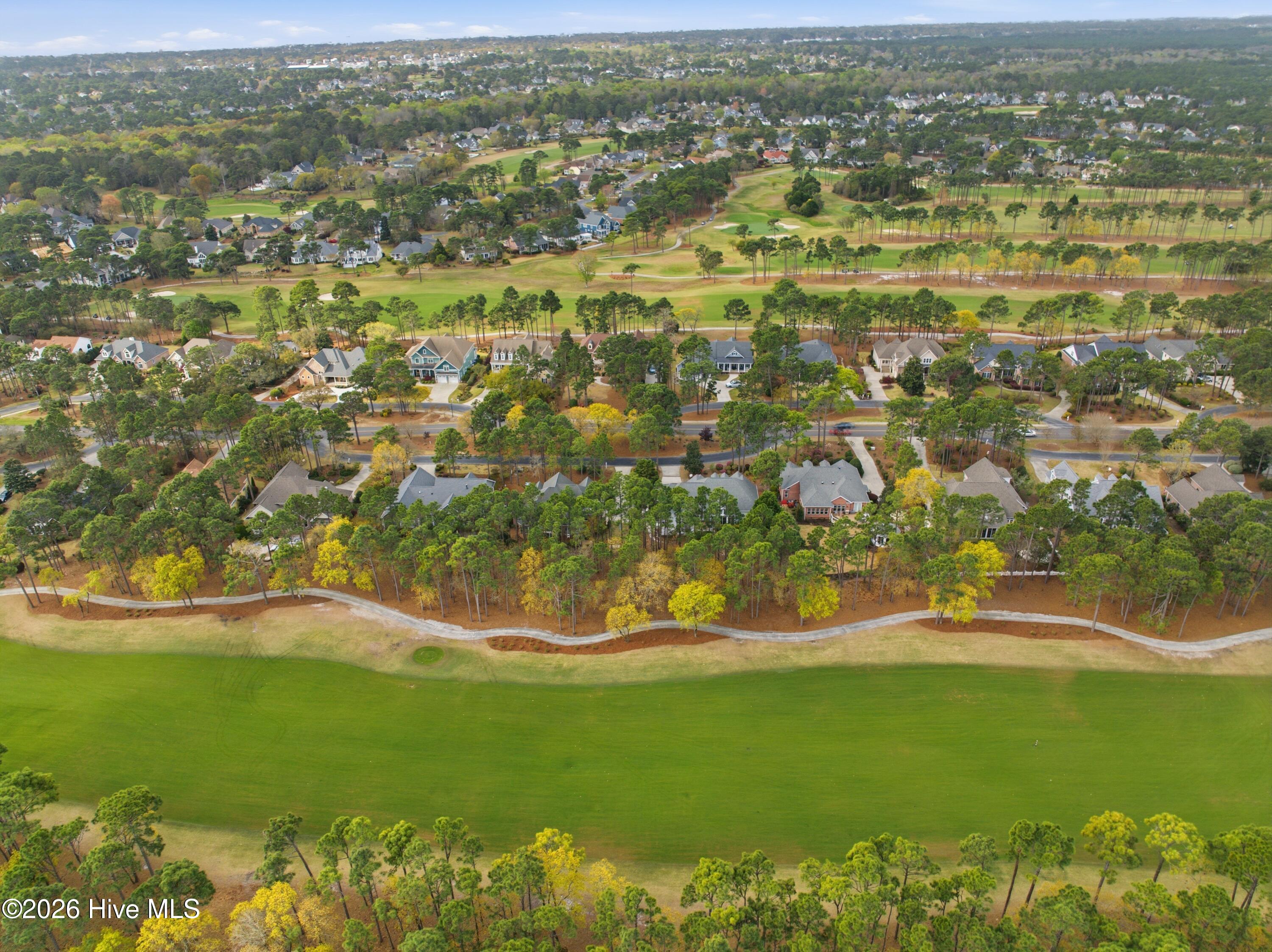 100564679 | Photo 63