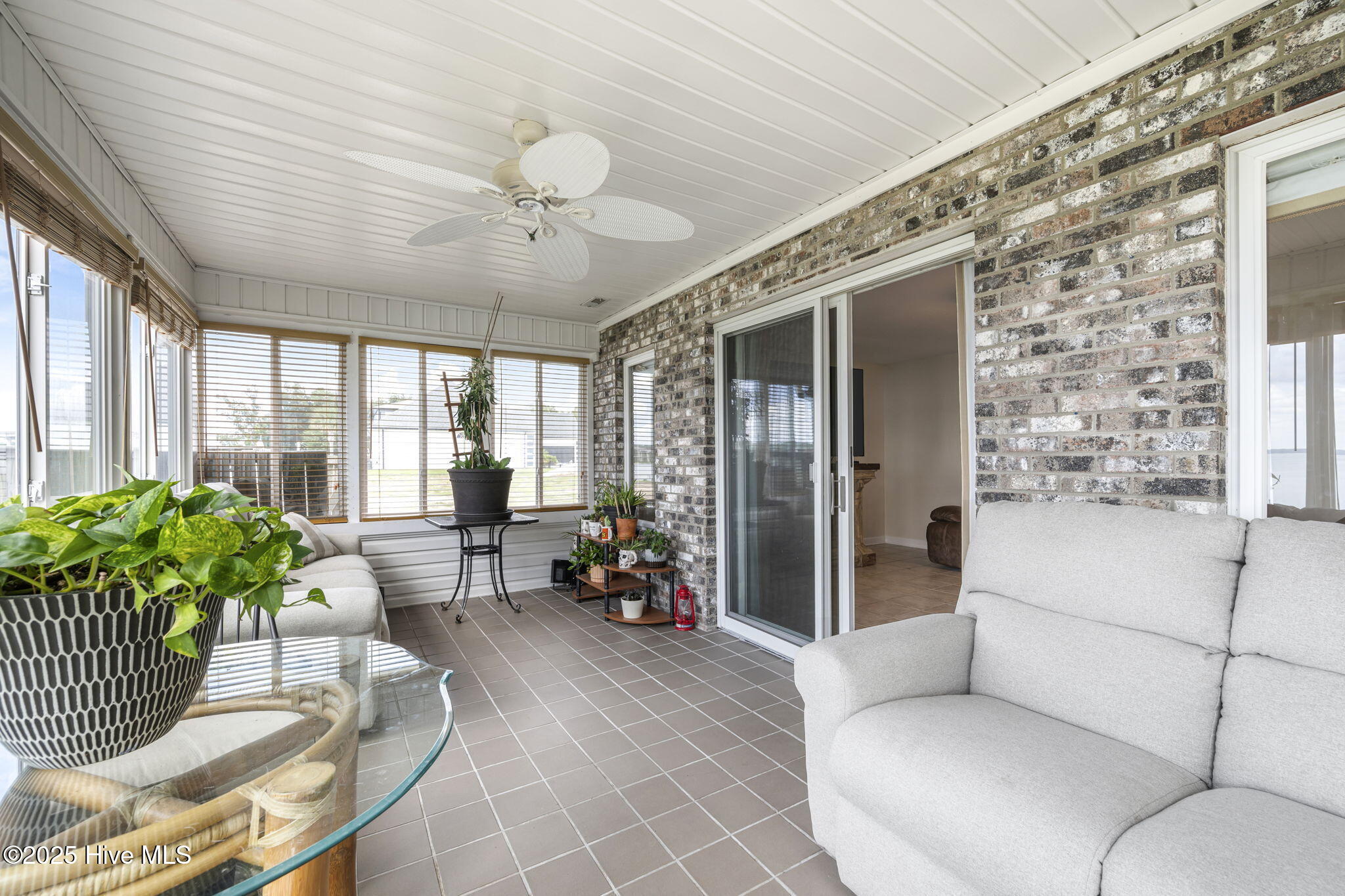 100546125 | Photo 23