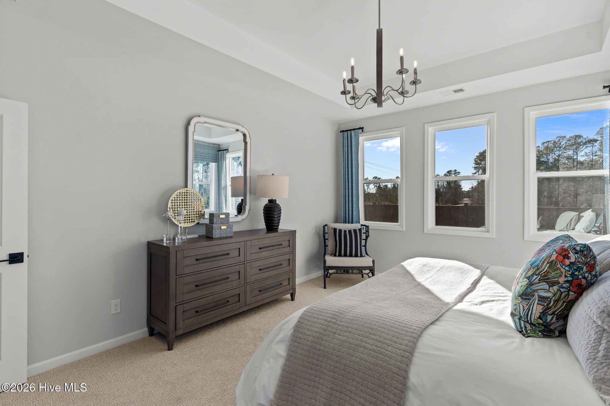 100516667 | Photo 28